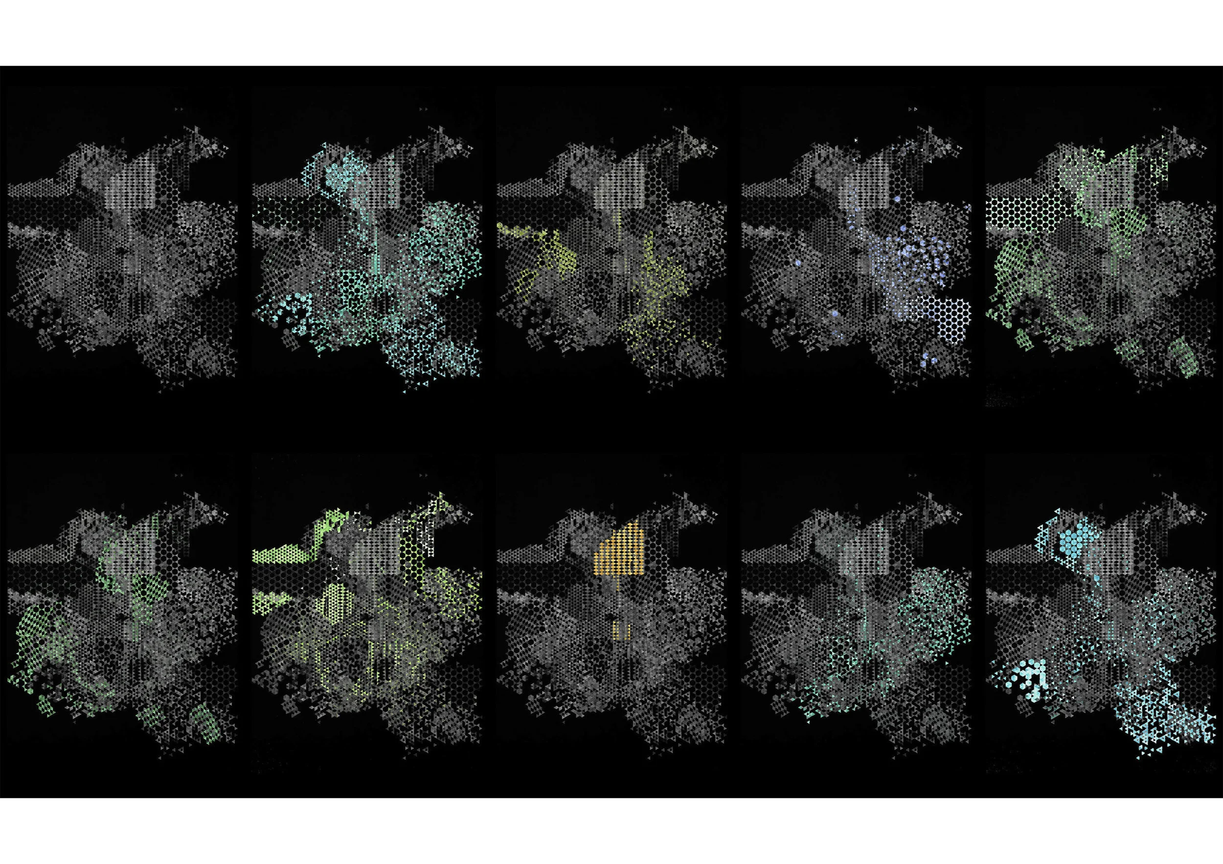 Native Varietal 14 - Hue Cognition Studies: 10 photographic studies 297 x 420mm 