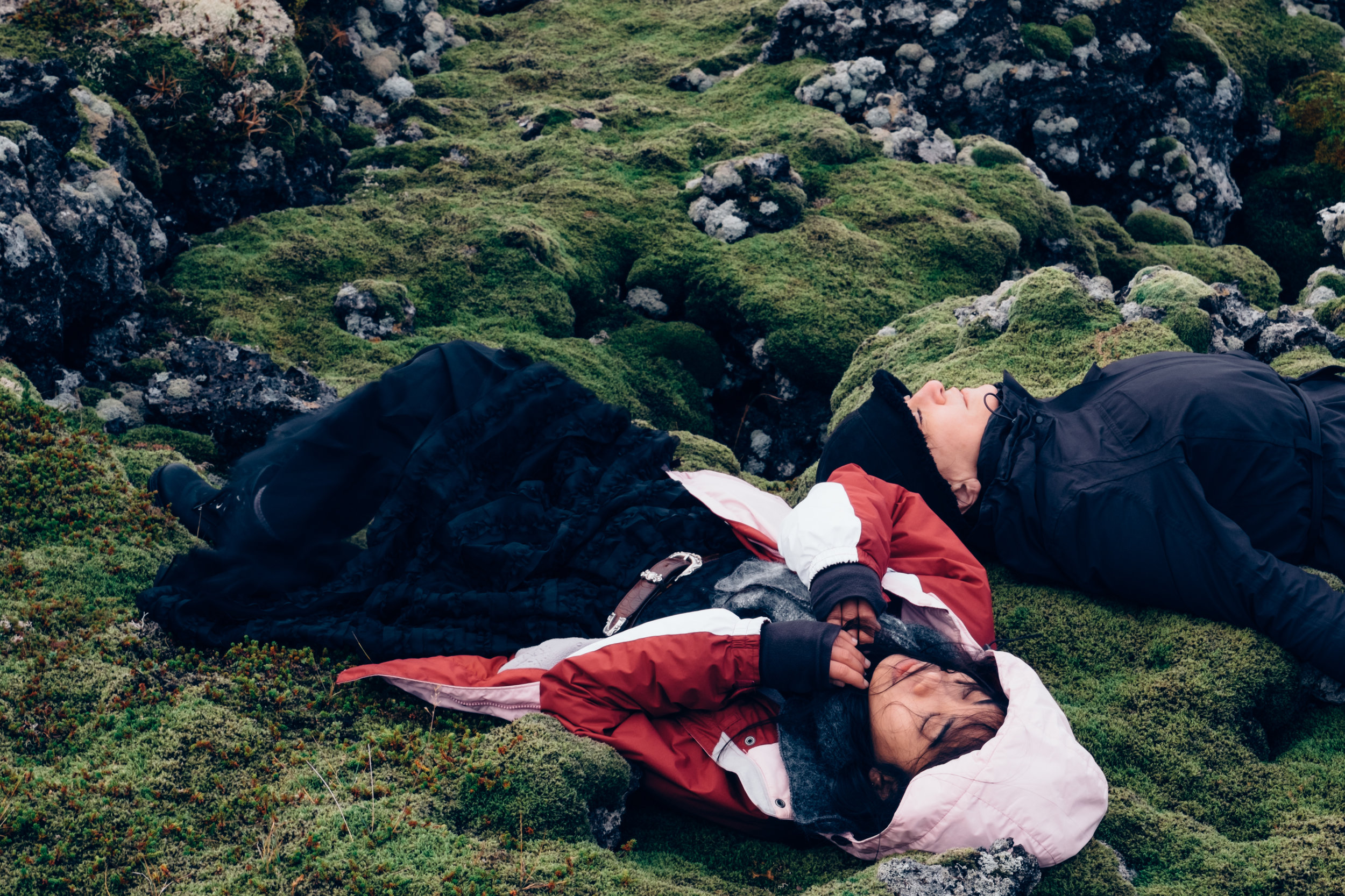  @kympham #icelandxwildlight 