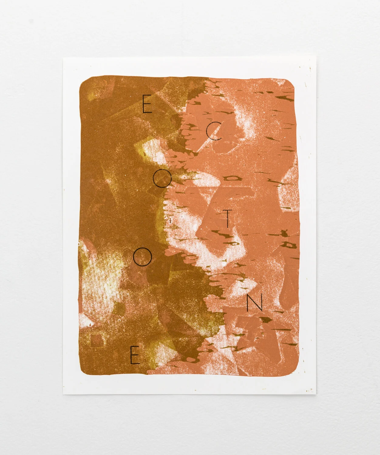 Ecotone_Leah Payne_01.jpg