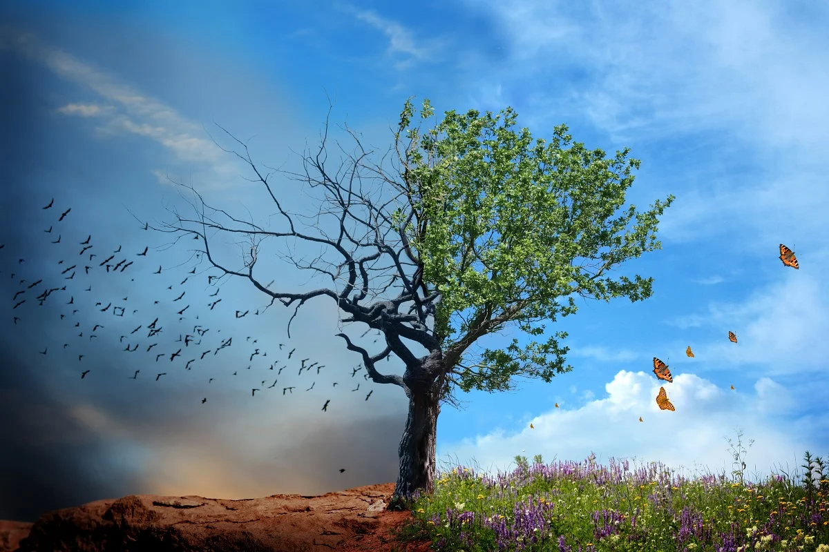 EASTER TREE IMAGE 1200px.jpg