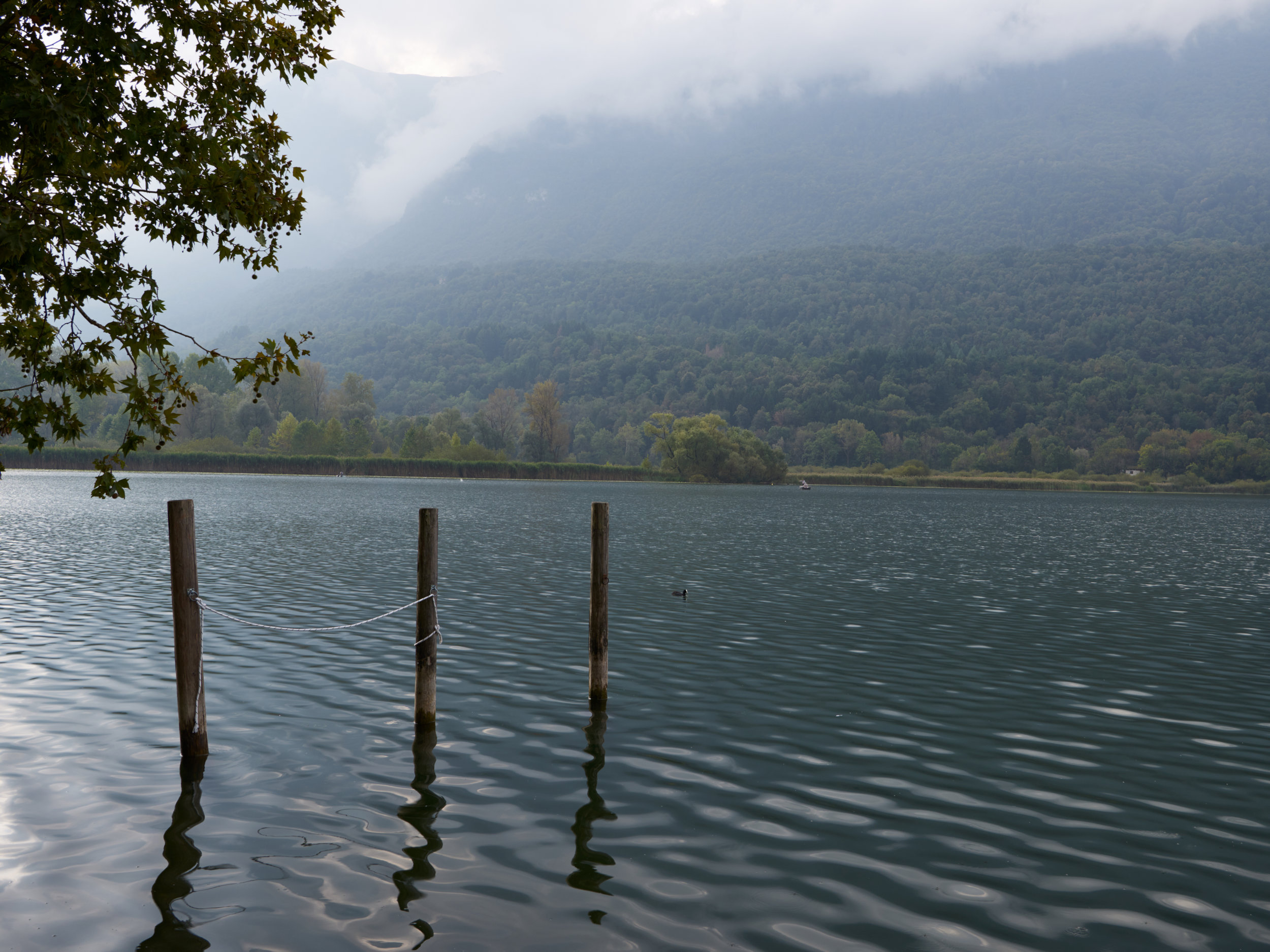 Untitled, Lake Piano, 2016