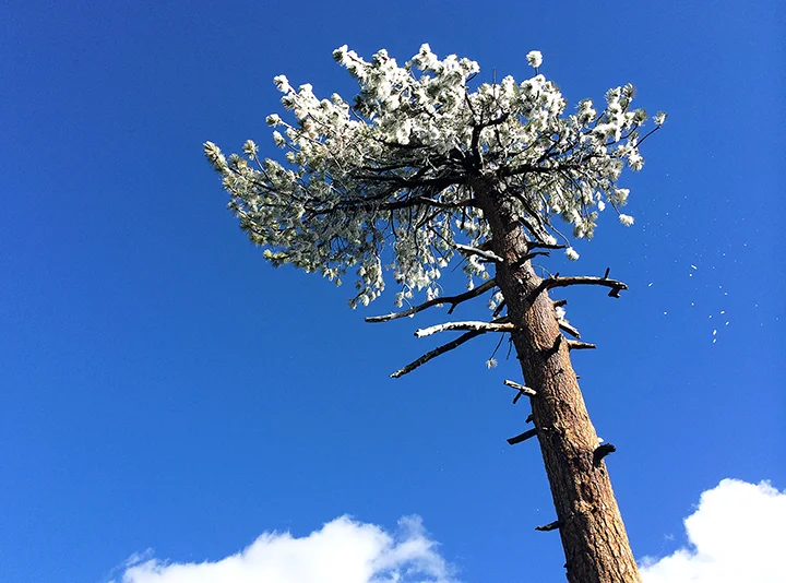 Big Bear, California