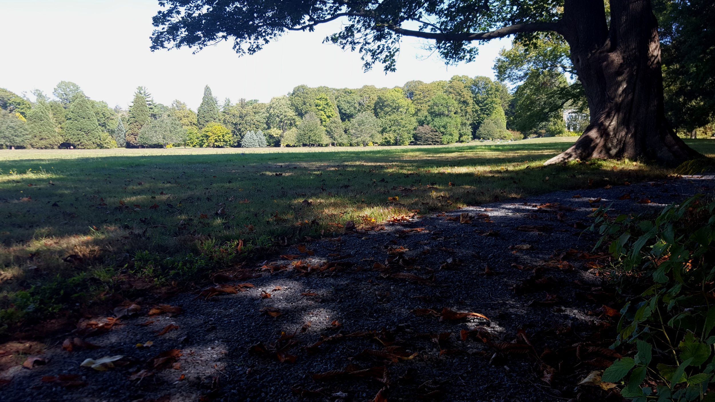 Park in front of the Manor