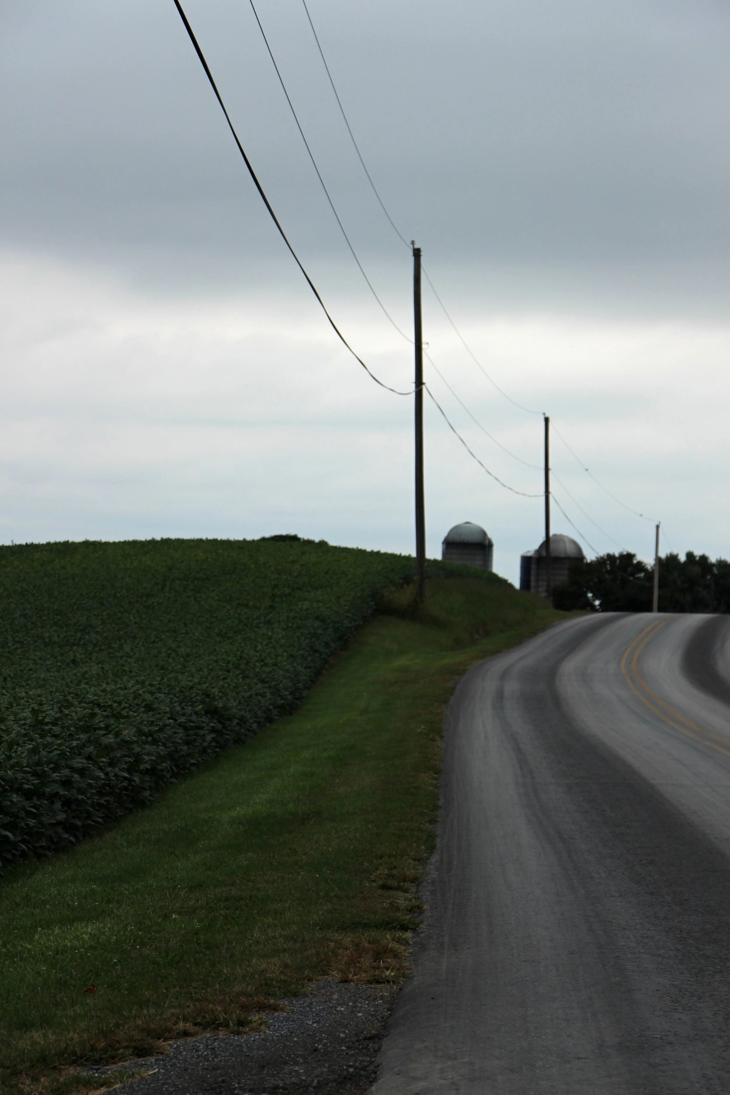 Farm Road