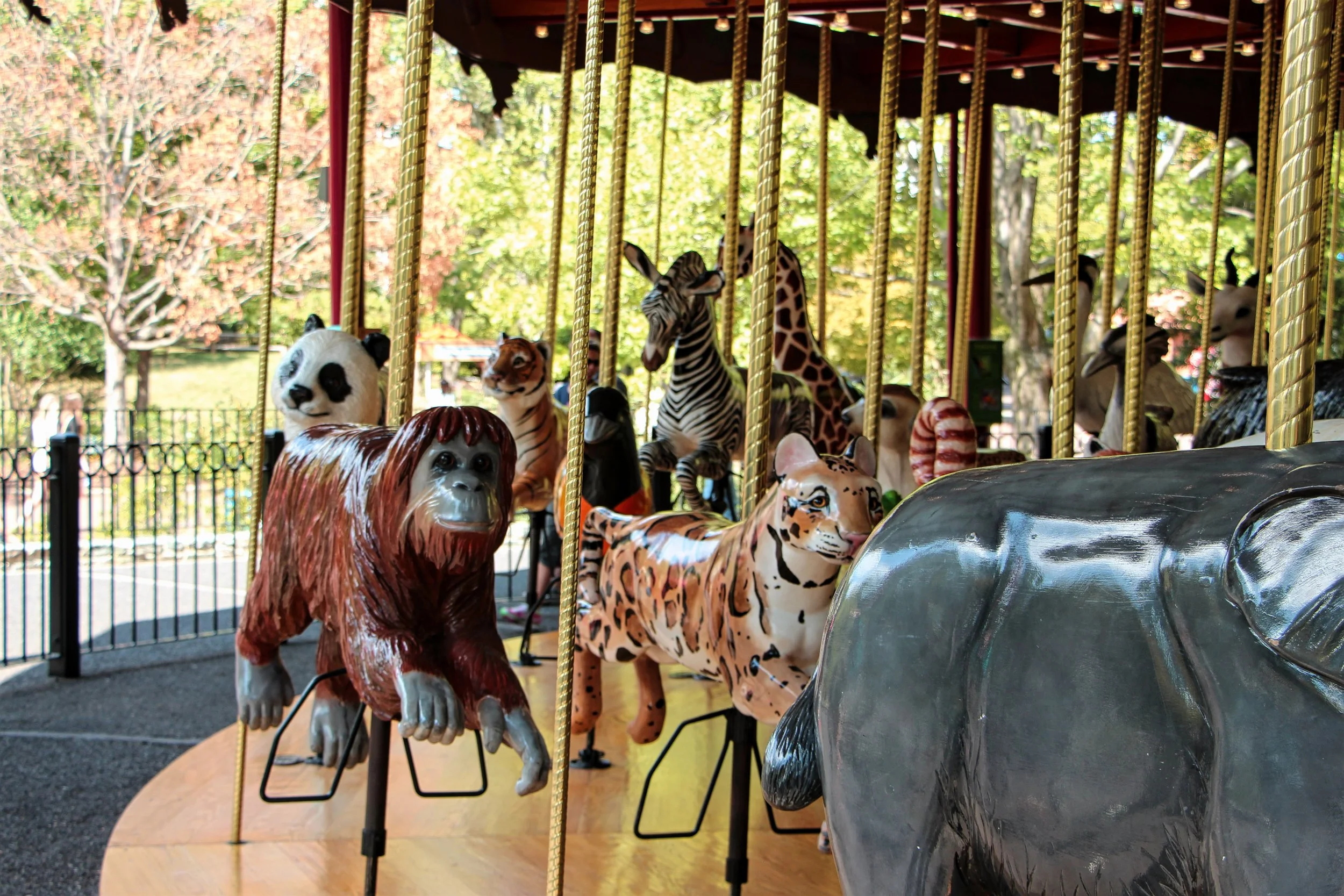 Carousel at the National Zoo