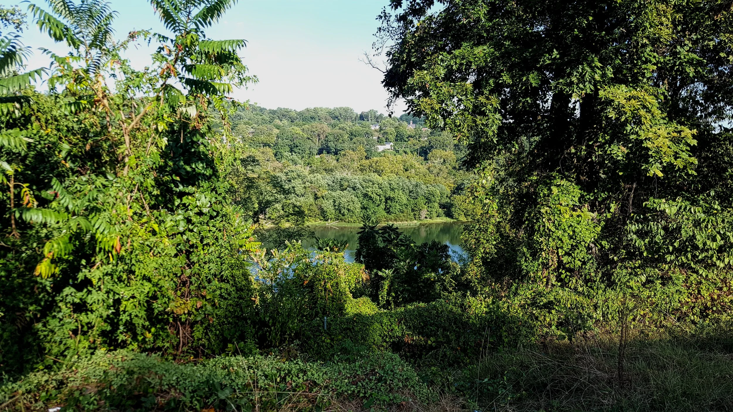 Potomac River