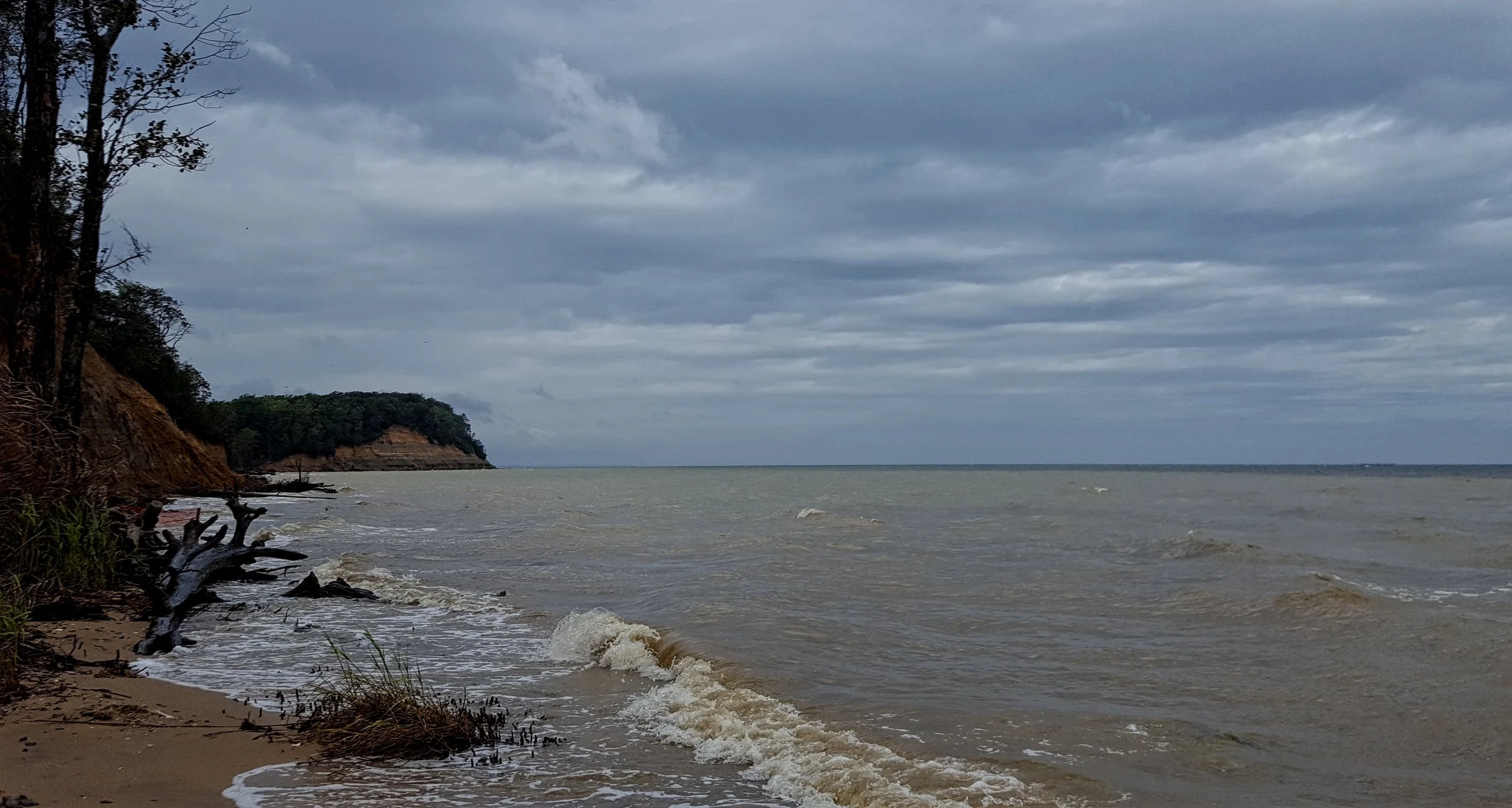 Calvert Cliffs