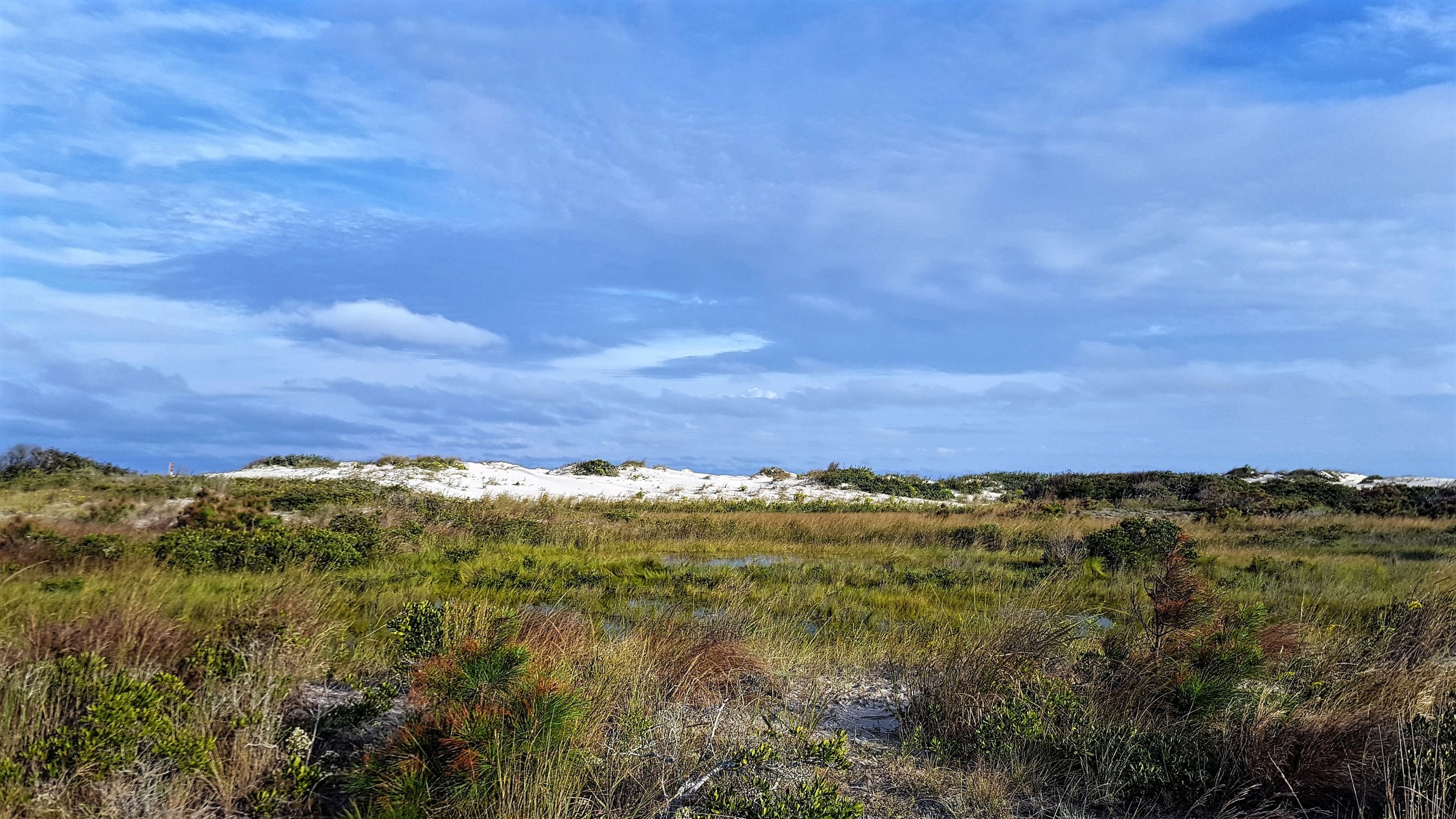 Life of the Dunes Trail