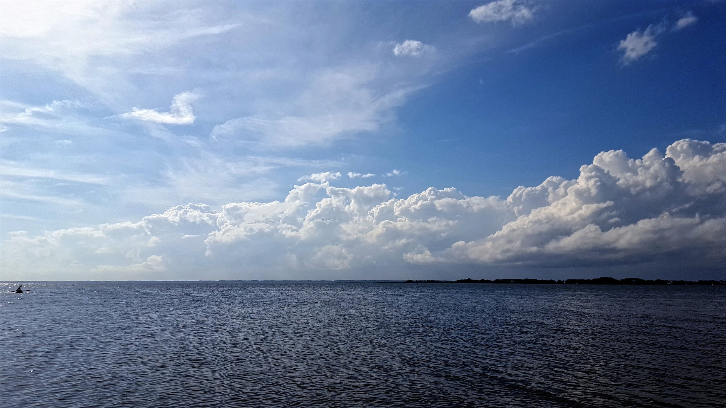 Bayside