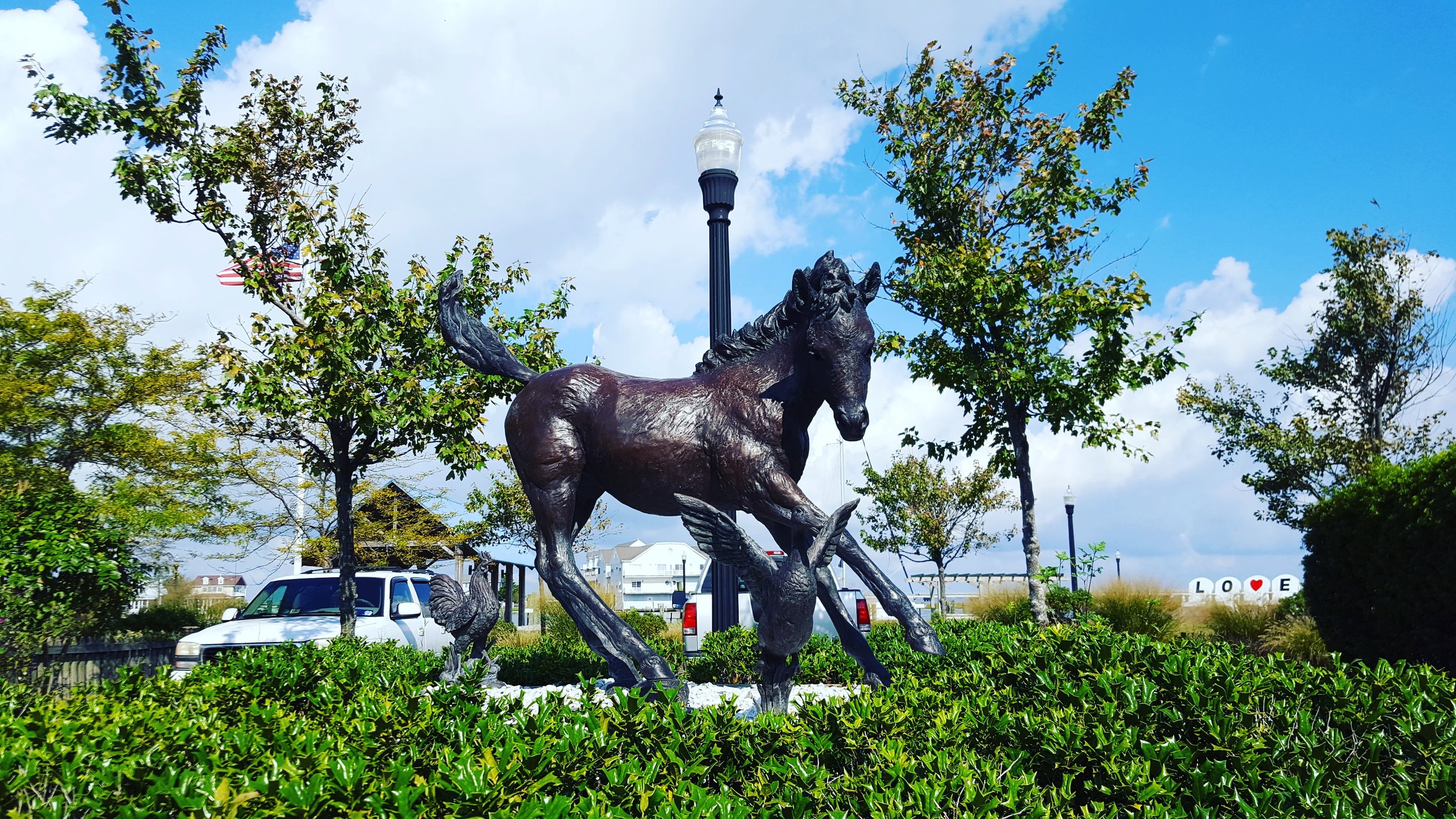 Misty of Chincoteague