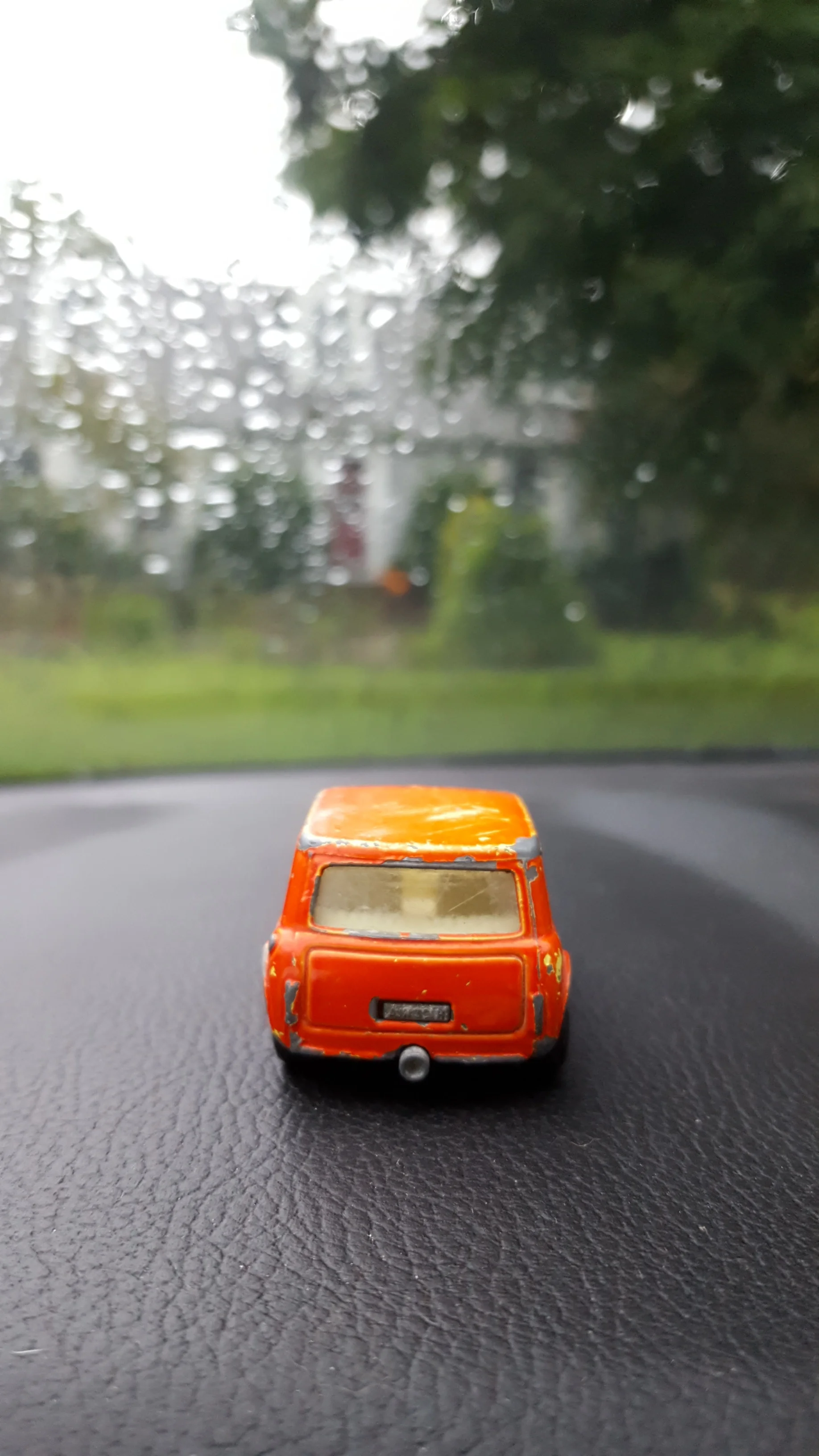 20160928_092905.jpg