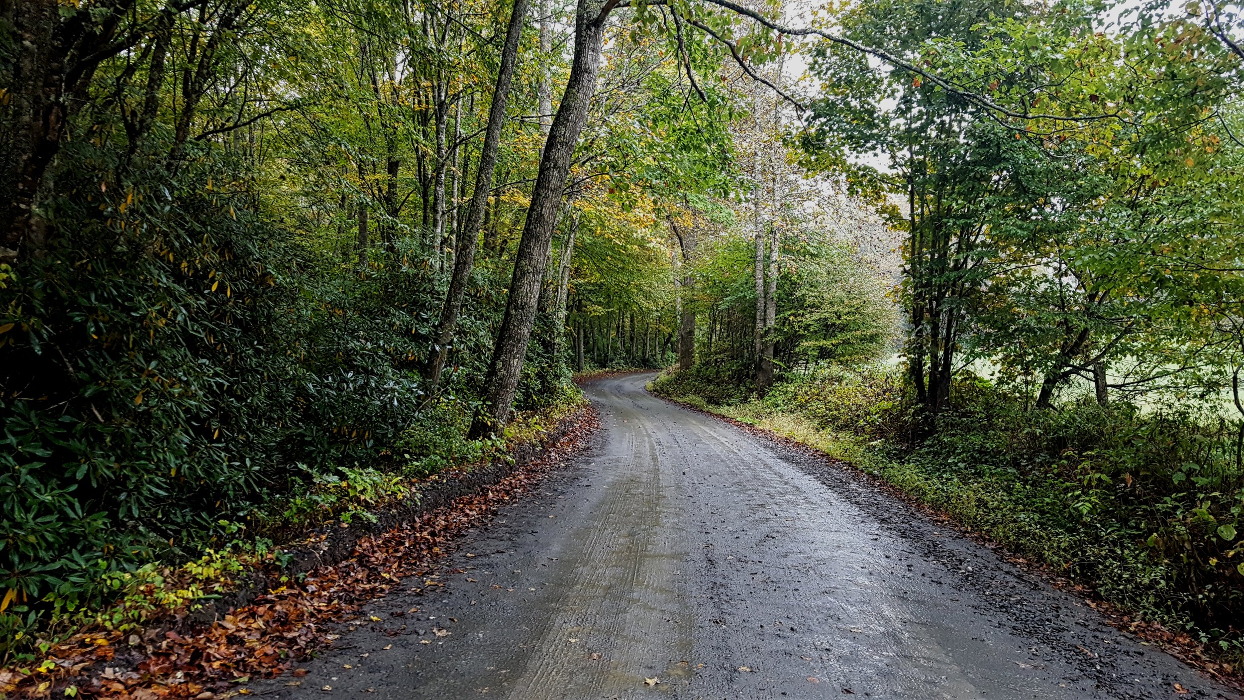 Rural Road in North Carolina