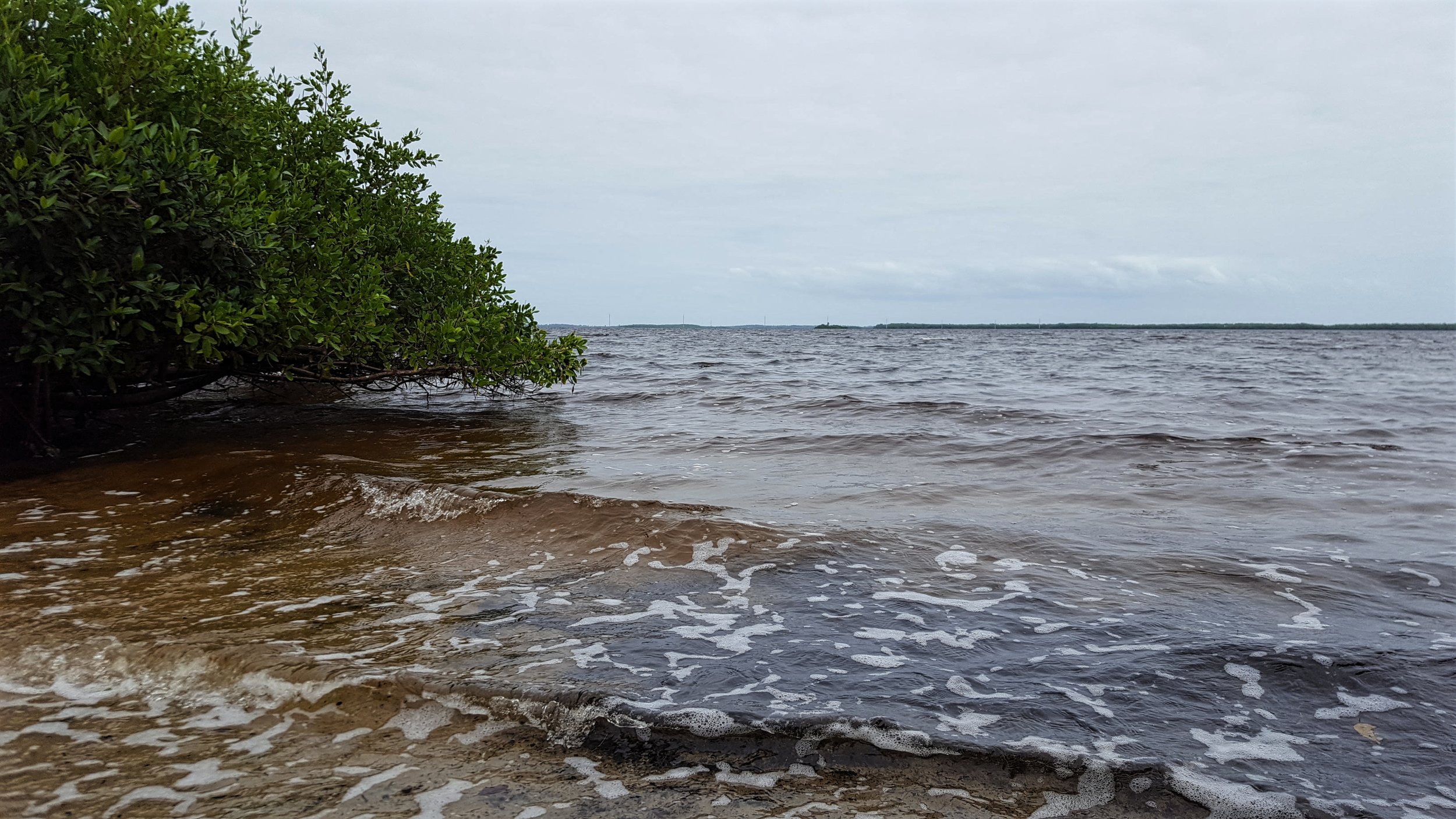 Pine Island