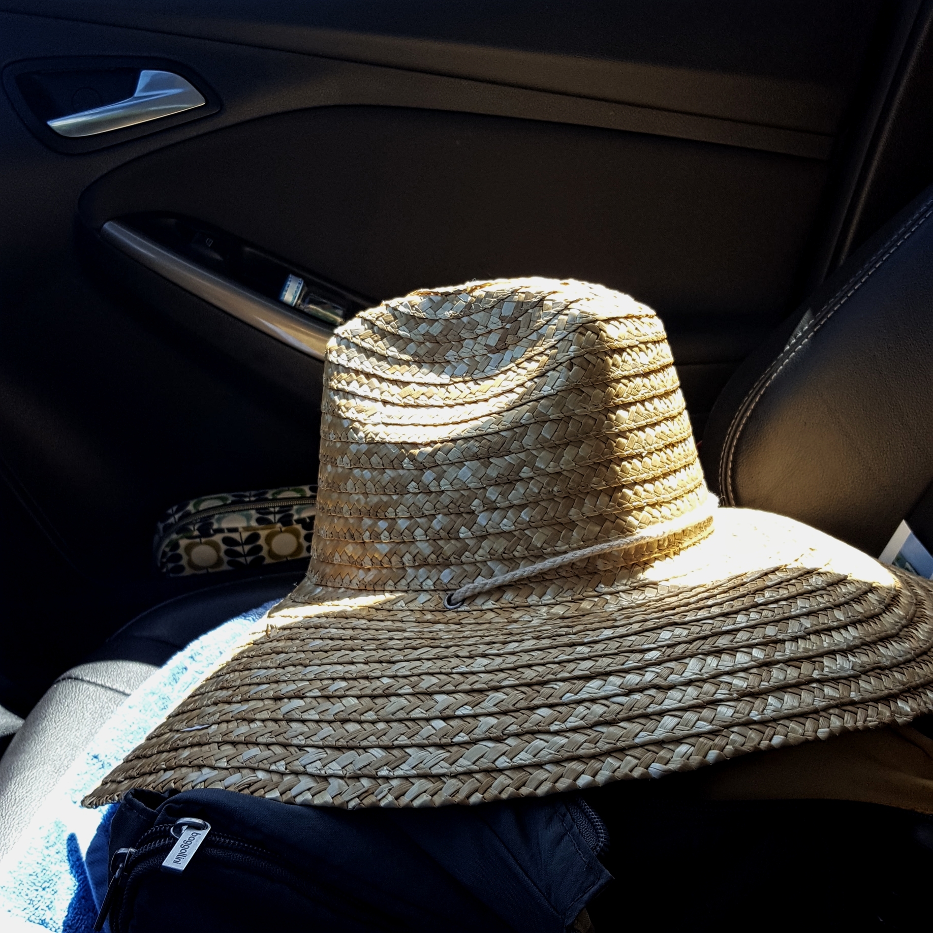 The Enormous Hat