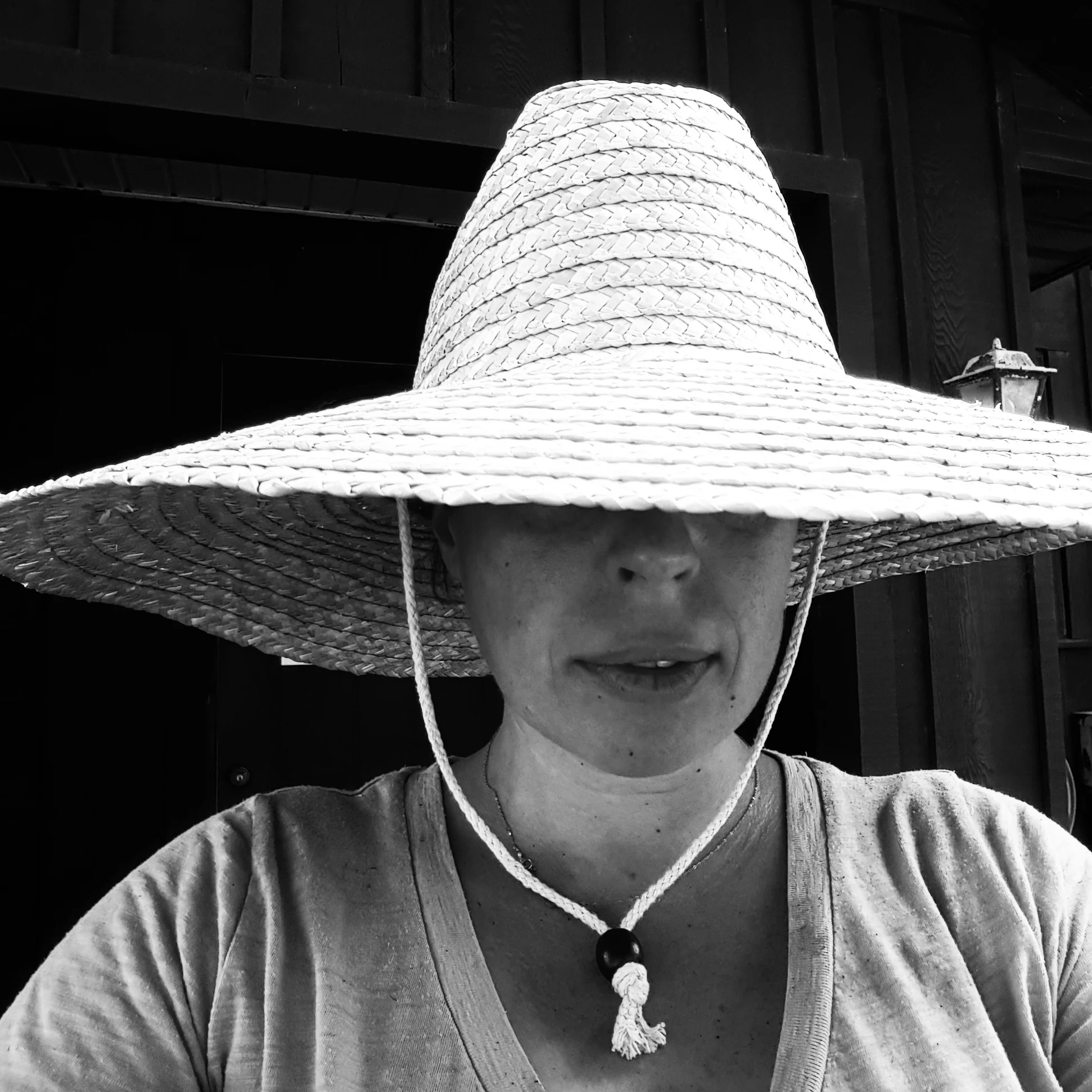 The Enormous Hat