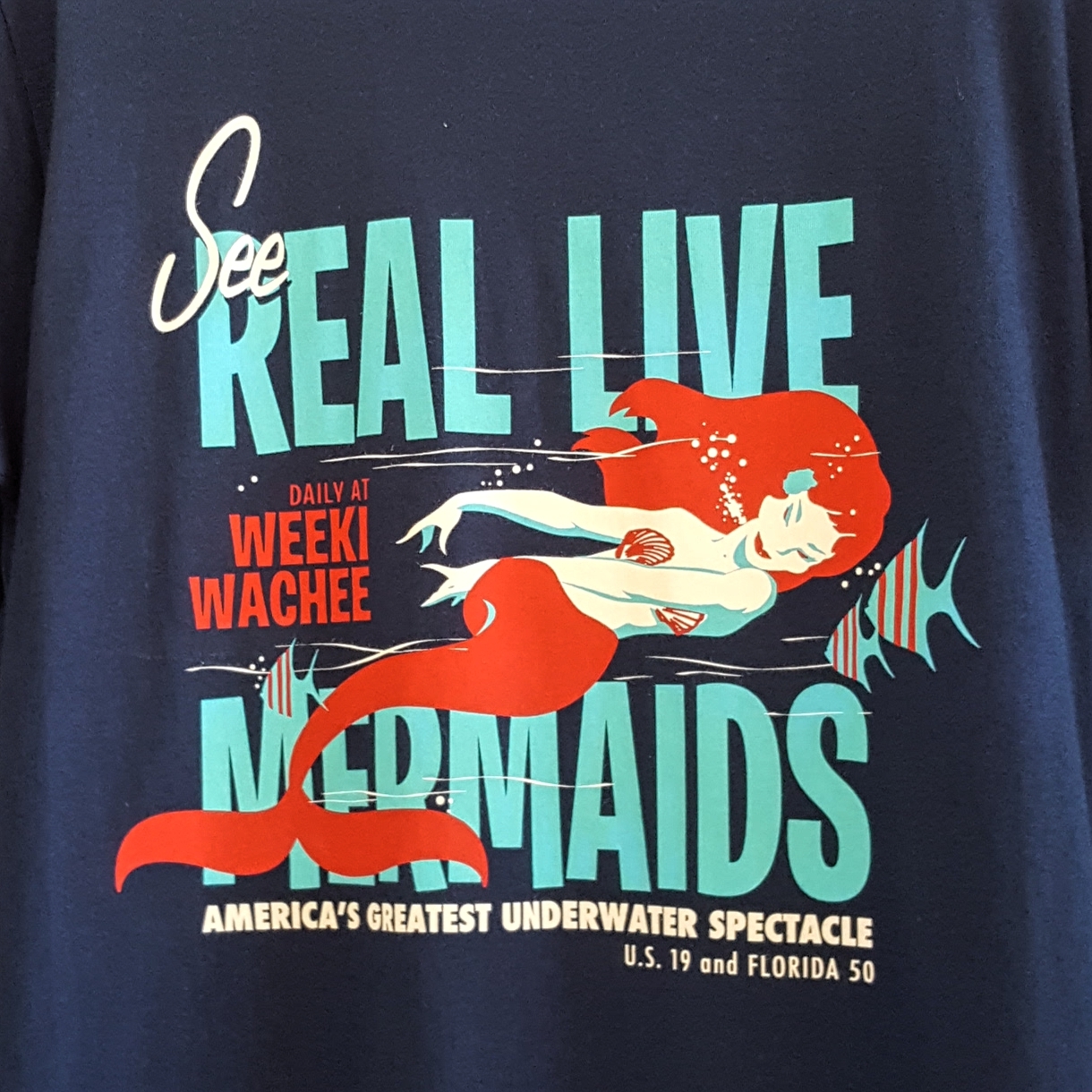 The $26 T-shirt I Really Wanted