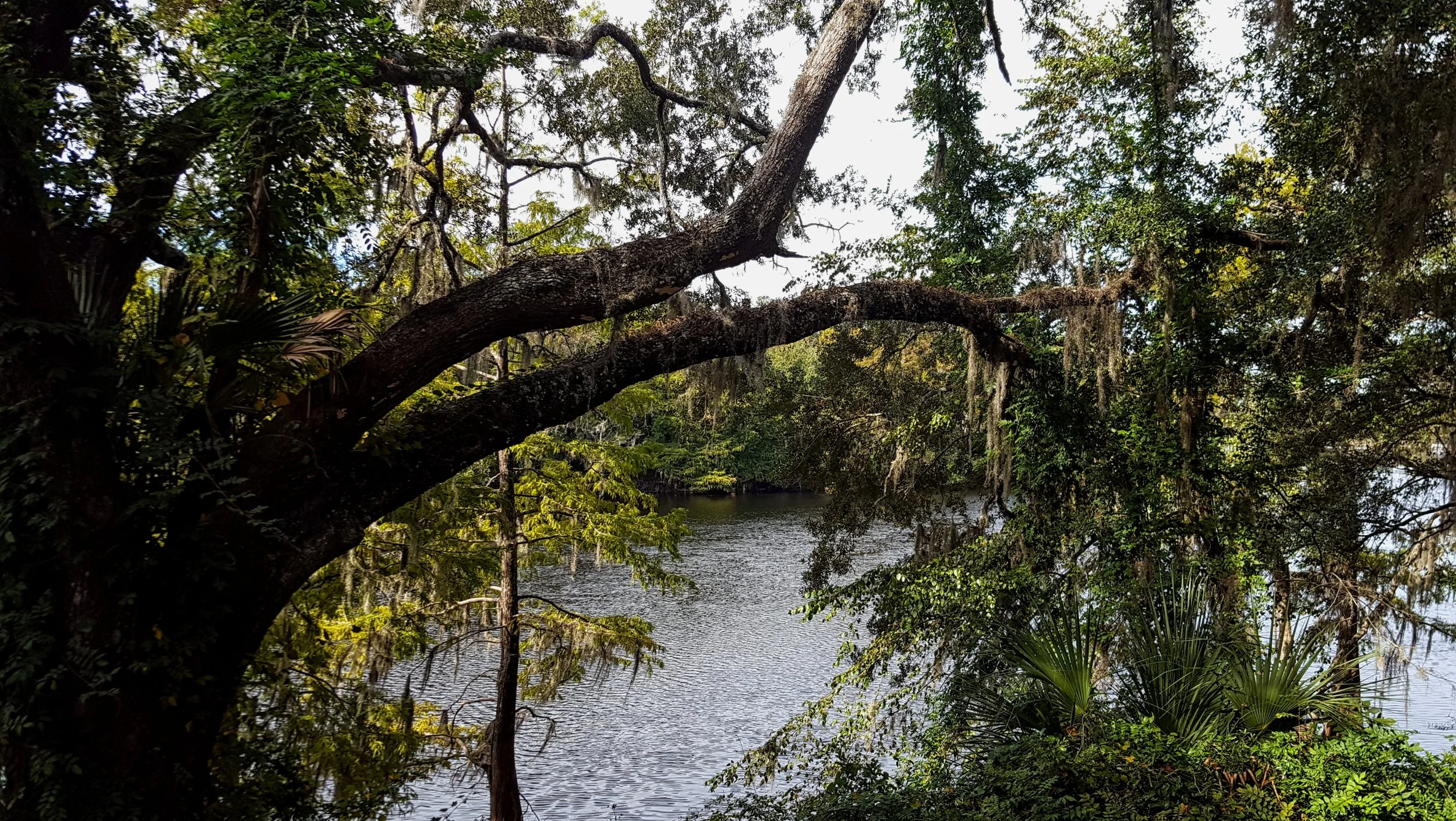 Suwanee River