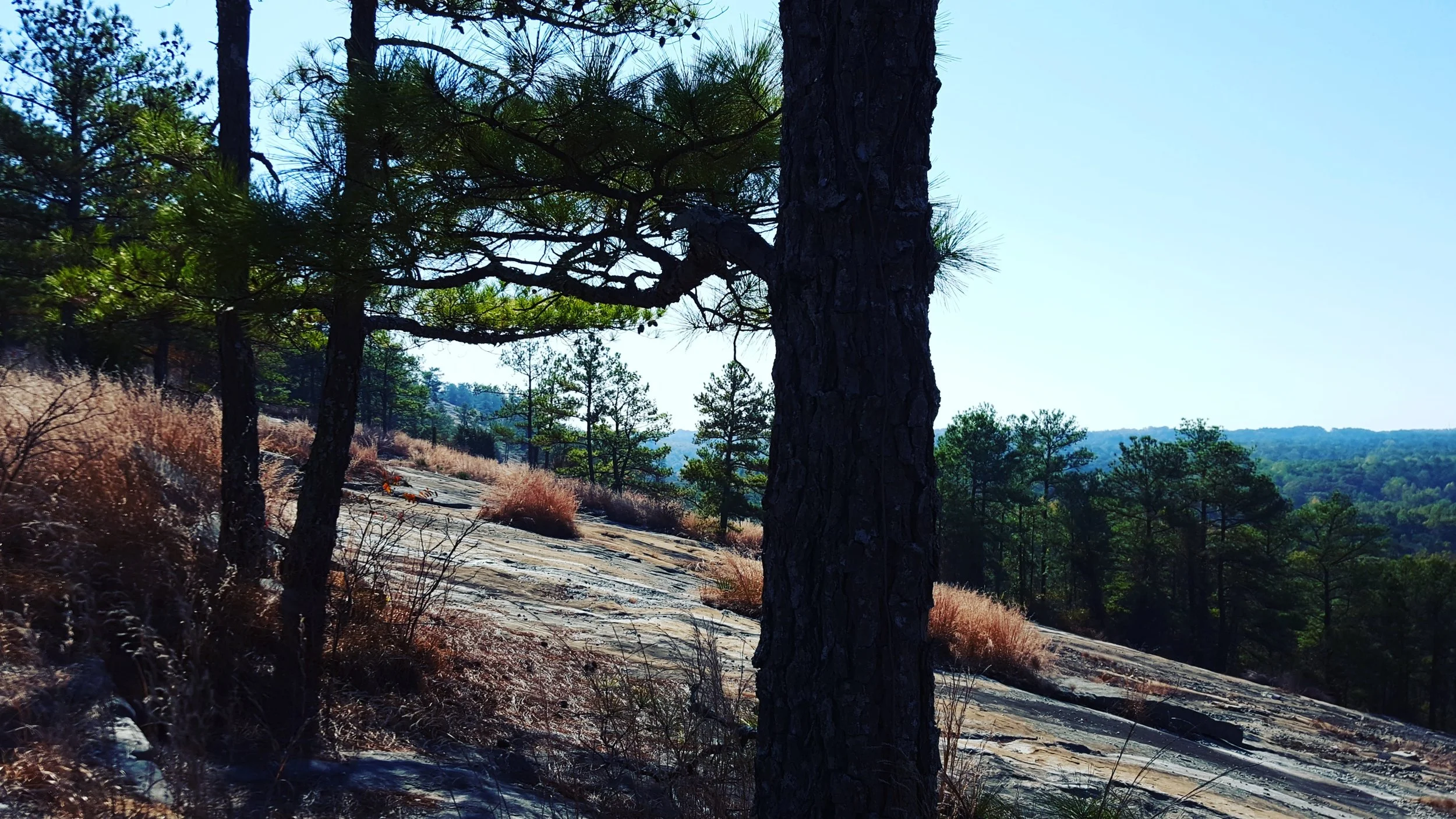 View from Stone Mountain