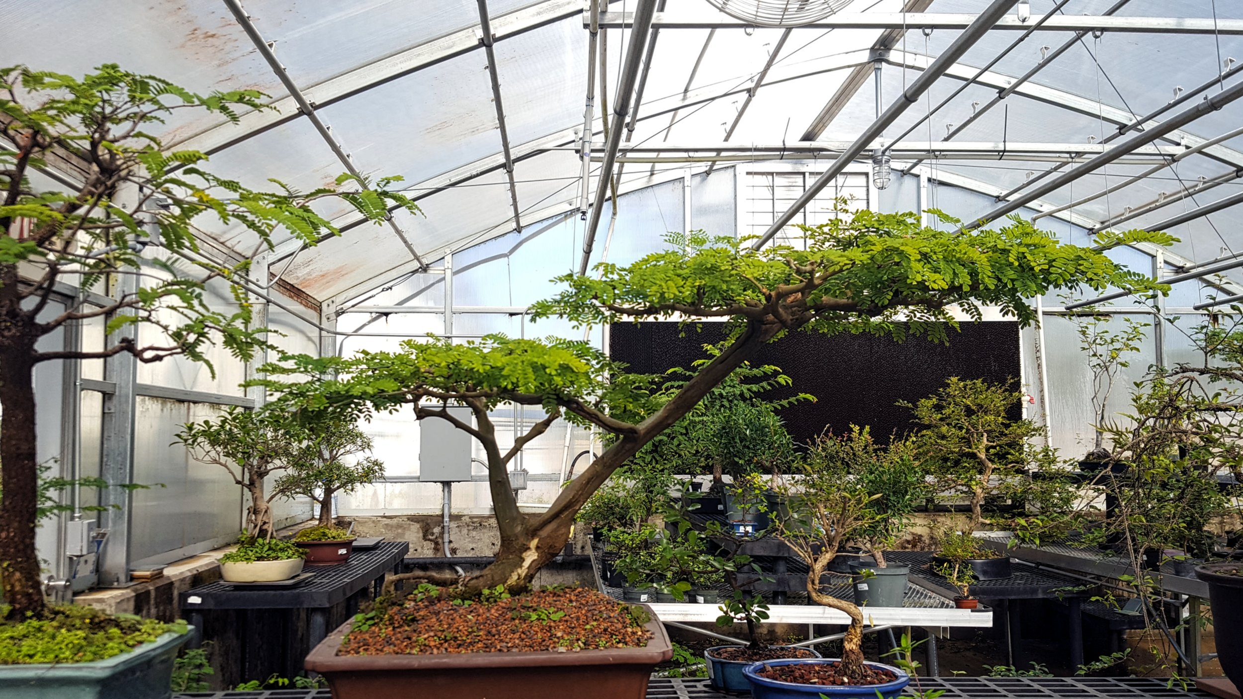 Greenhouse