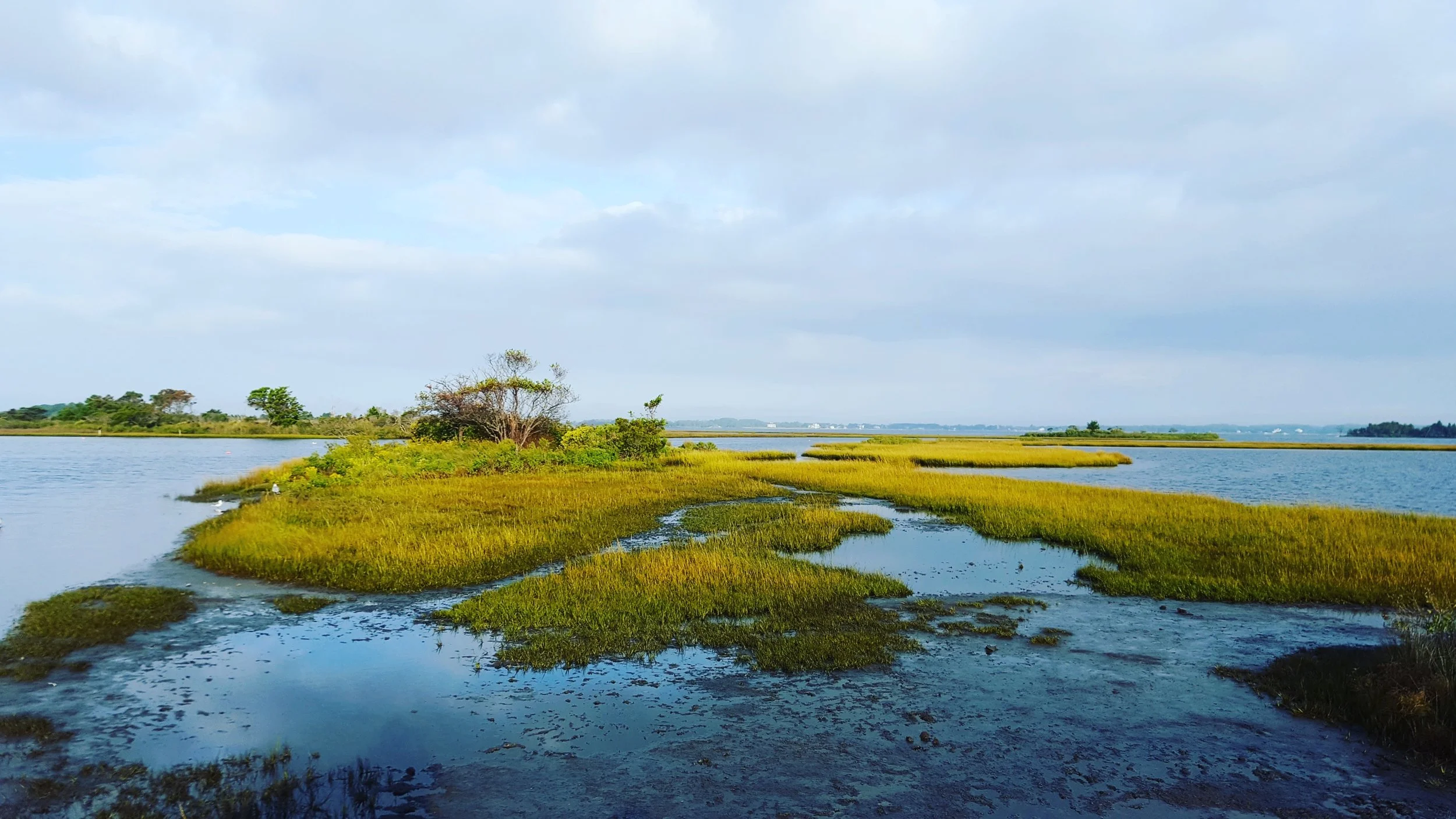 Assateague National Park.jpg