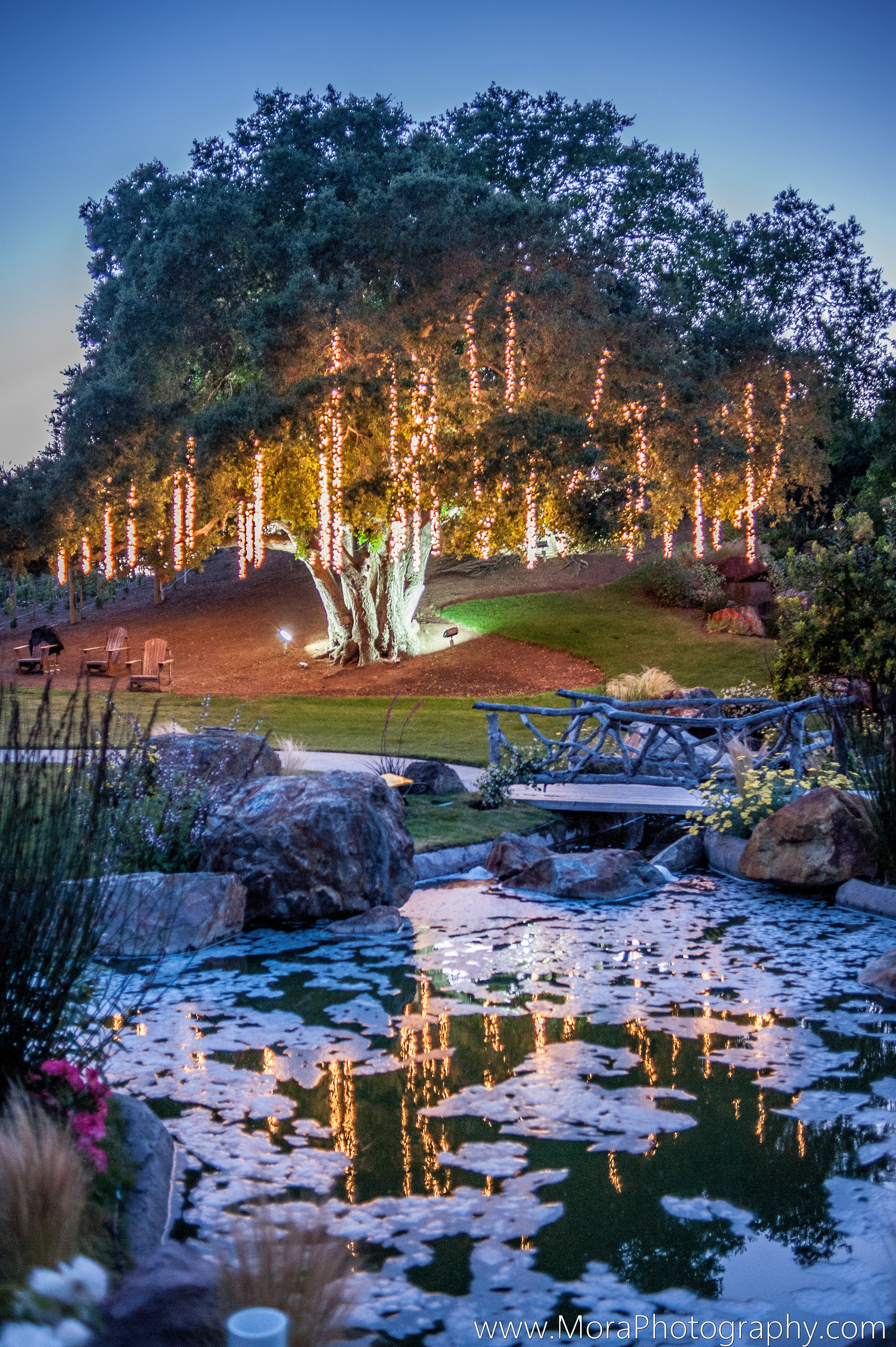 Beetler_Smith_Mora_Photography_060912SMITH1119.jpg