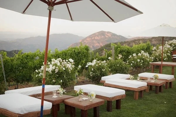 Vineyard9.JPG