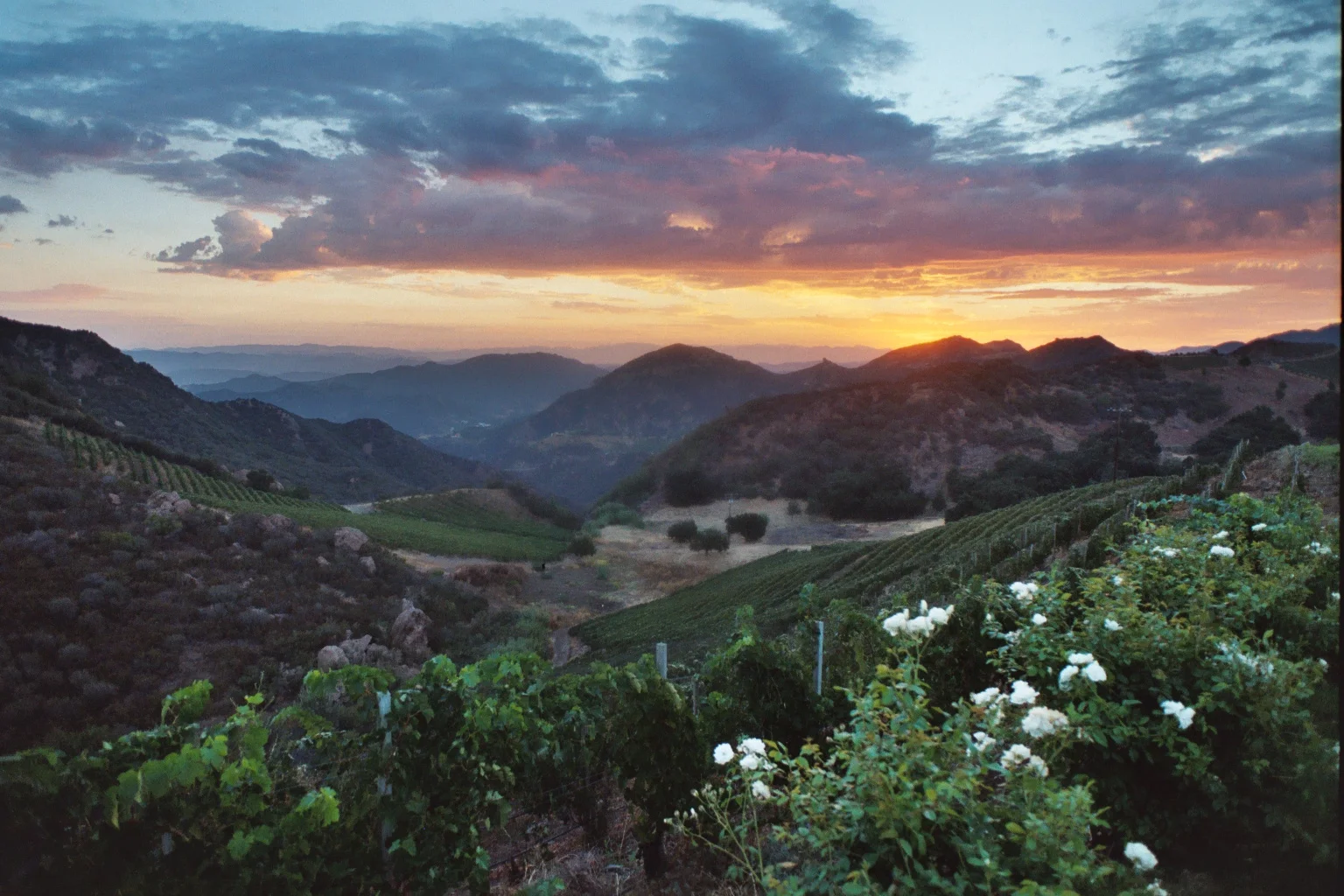 Copy of Landscape 2.jpg