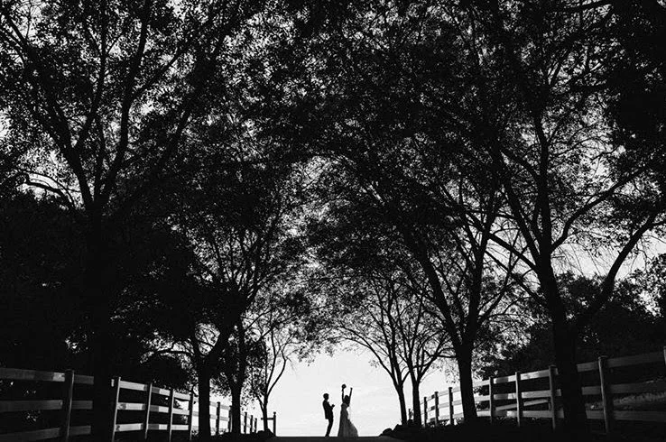 Wedding Outdoor Photography Malibu 