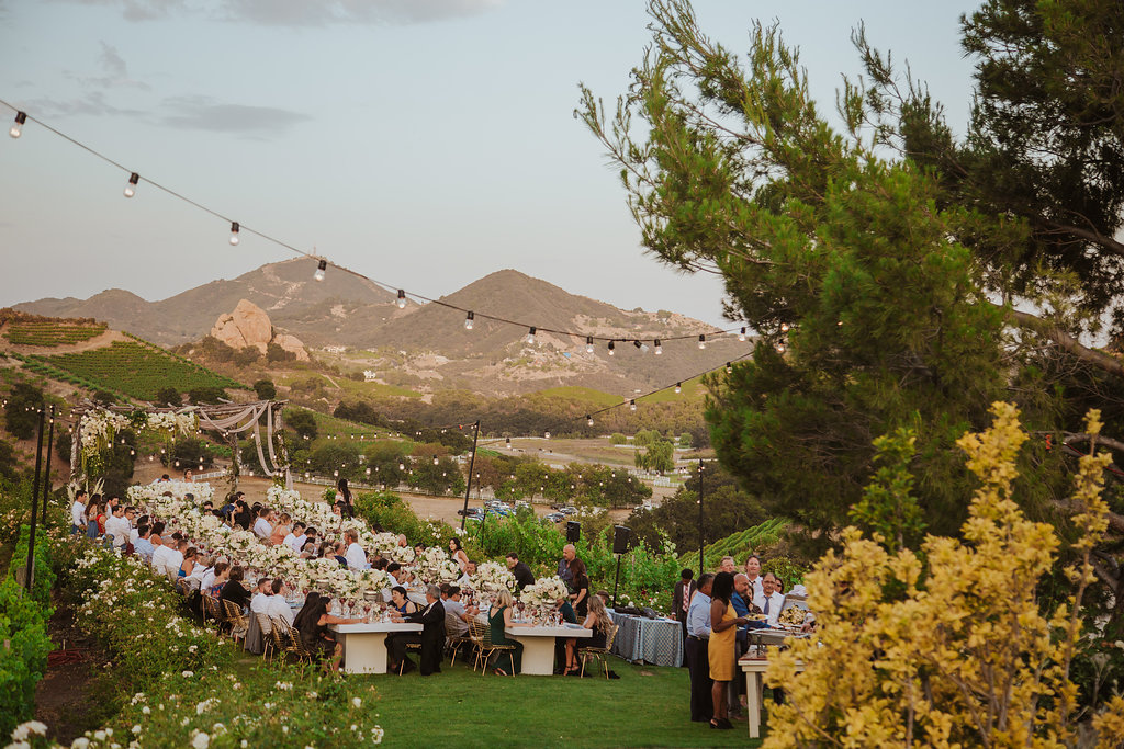 Malibu_Solstice_Vineyard_Chateau_Le_Dome_Dmitry_Shumanev_-069.JPG