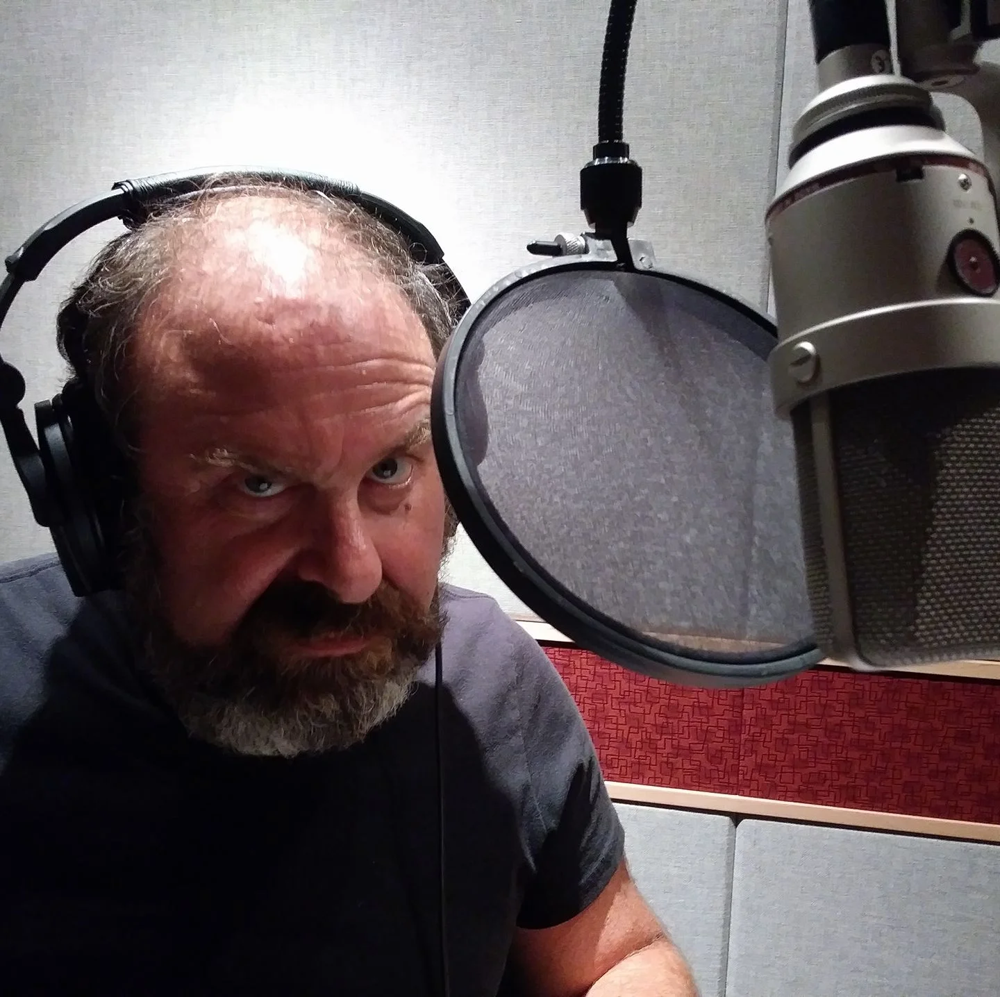 Sag working voice-over mic.jpg