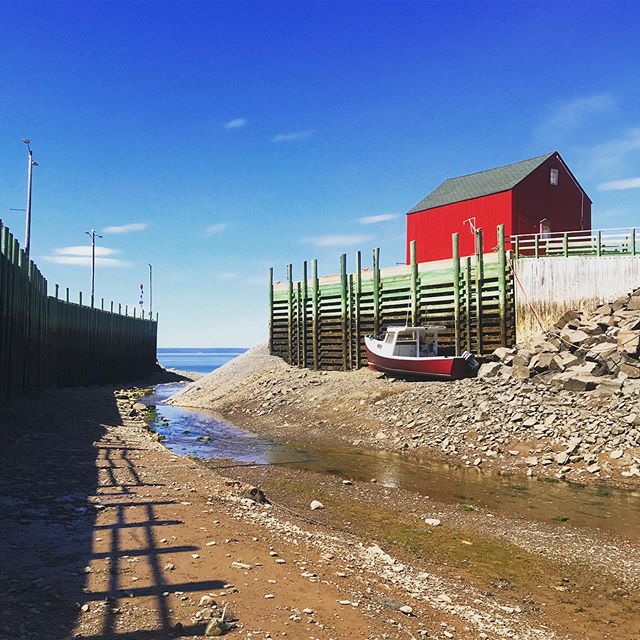 Nova Scotia is full hidden gems and hamlets. Hal’s Harbour being one. Because of the changing tides, nowhere along this coast looks the same two days in a row.