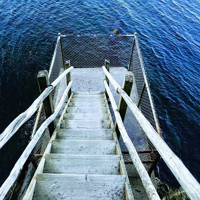 I feel this is at the same time a metaphor for Nova Scotia and my life - perhaps even all life.