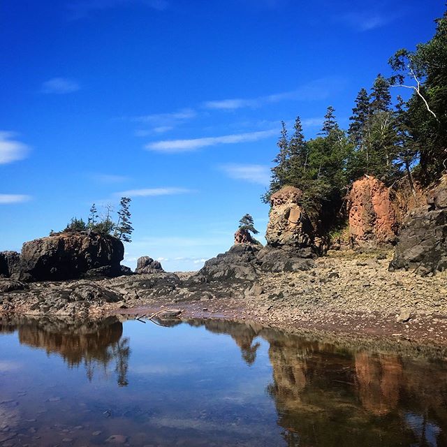 The magic the tide leaves behind.