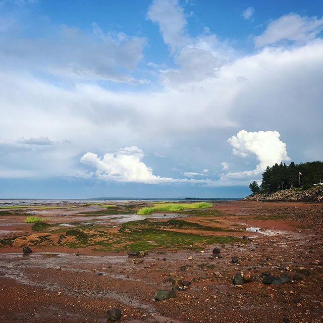 When walking on the floor of the ocean feels like you&rsquo;re on another planet 😲

#bayoffundy #novascotia #ocean #tides #alternativeroutes #travel #backpackerlife #fundyshore #maritimes #visitnovascotia #explorecanada