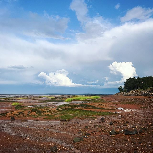 When walking on the floor of the ocean feels like you’re on another planet 😲
#bayoffundy #novascotia #ocean #tides #alternativeroutes #travel #backpackerlife #fundyshore #maritimes #visitnovascotia #explorecanada