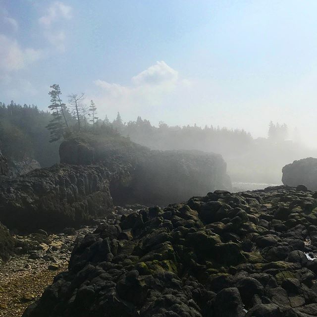 Nova Scotia weather is forever a mystery and she is constantly stirring up magic.
#tides #fog #bayoffundy #novascotia #travel #explorecanada #visitnovascotia #atlanticocean #alternativeroutes