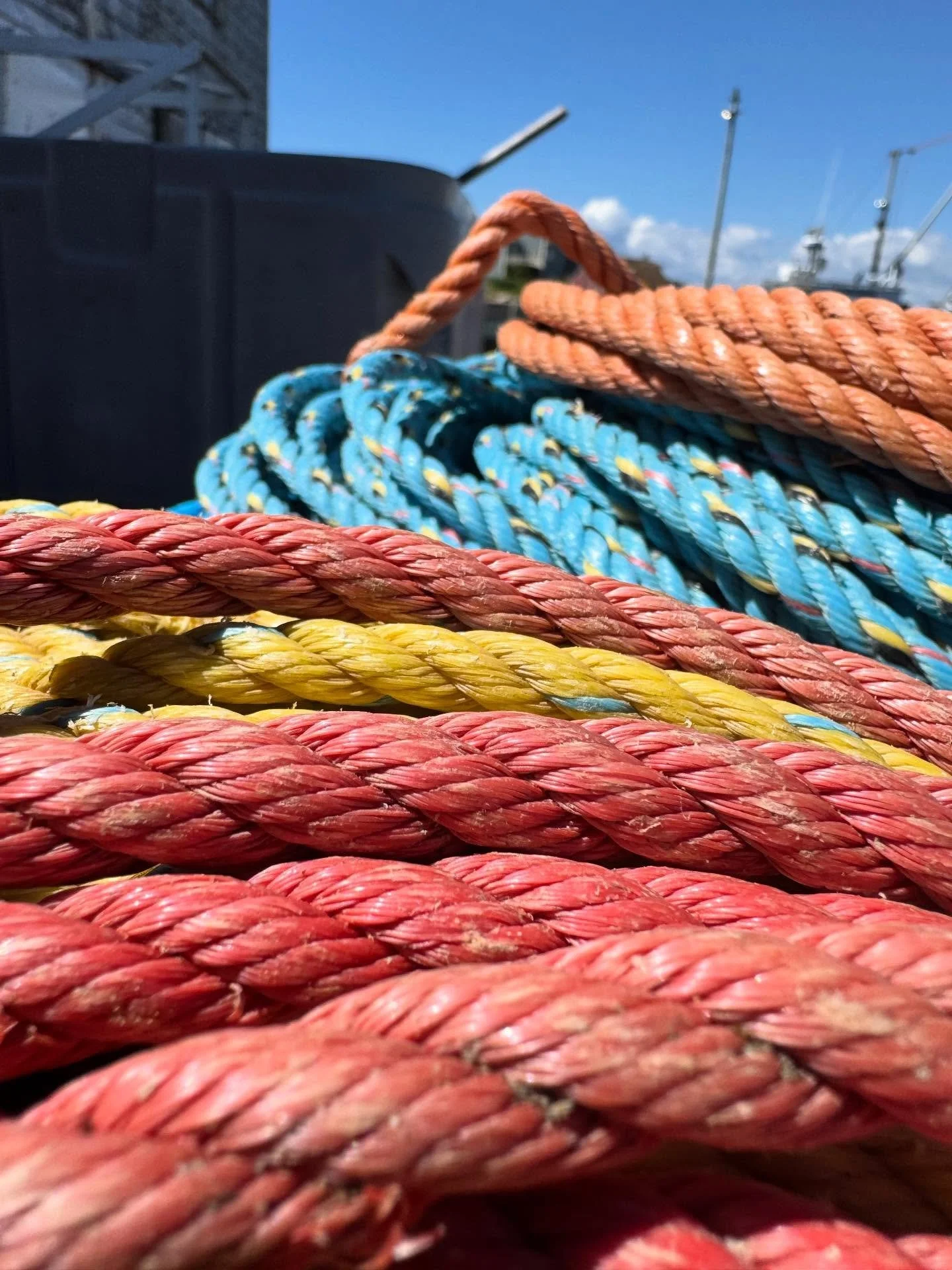 ✨ Welcome to the AR family, James! ✨

We&rsquo;re blushing over here &mdash; James and his wife created a whole Tripadvisor account just to share their love for their tour with Evan. 💛

They called Alternative Routes &ldquo;the perfect option if you