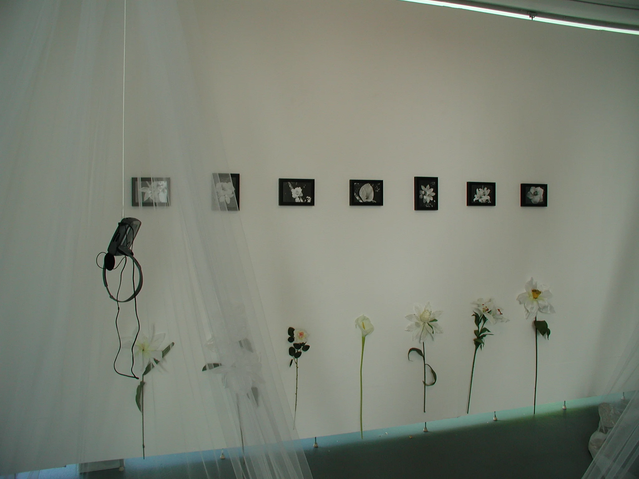 P1120010.JPG