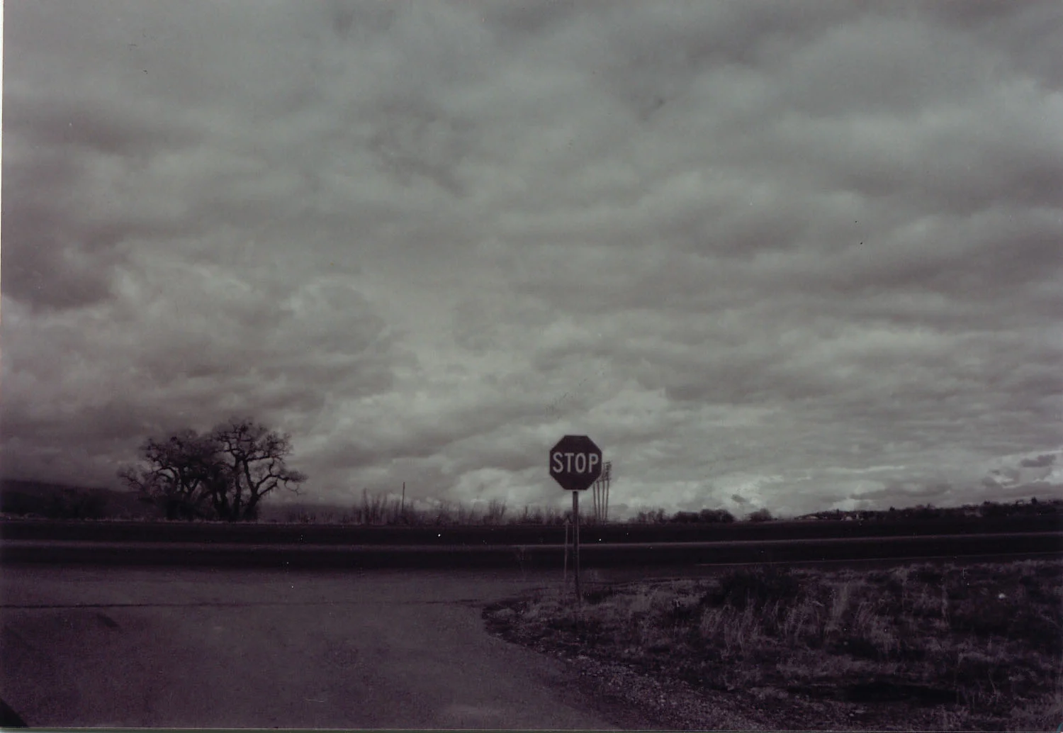 LANDESCAPE