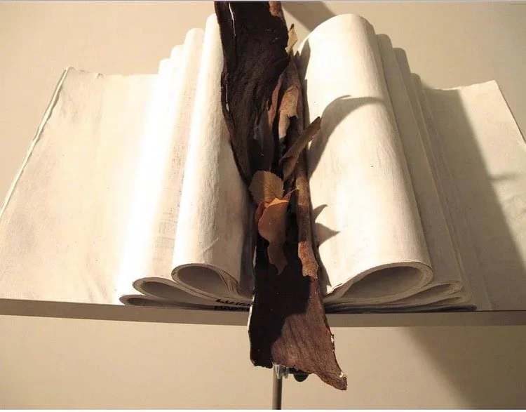 MY ROOT CAN HEAR THE LEAVES GROW