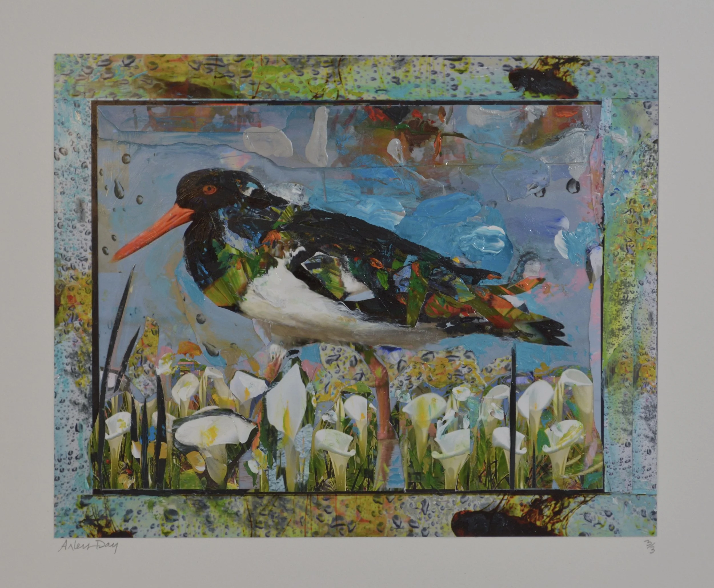 THE WADER'S WALK 8 X 10