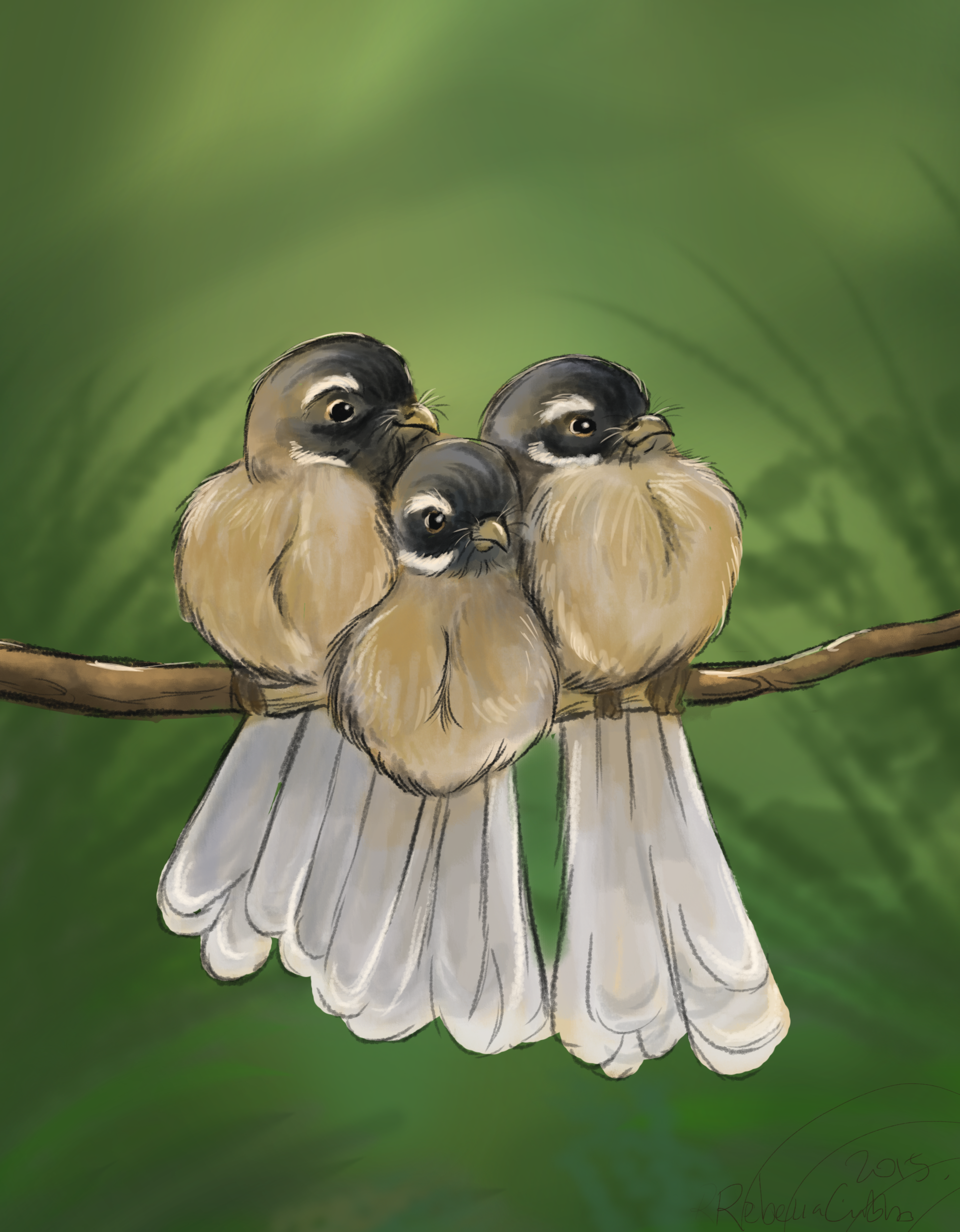 fantails.png