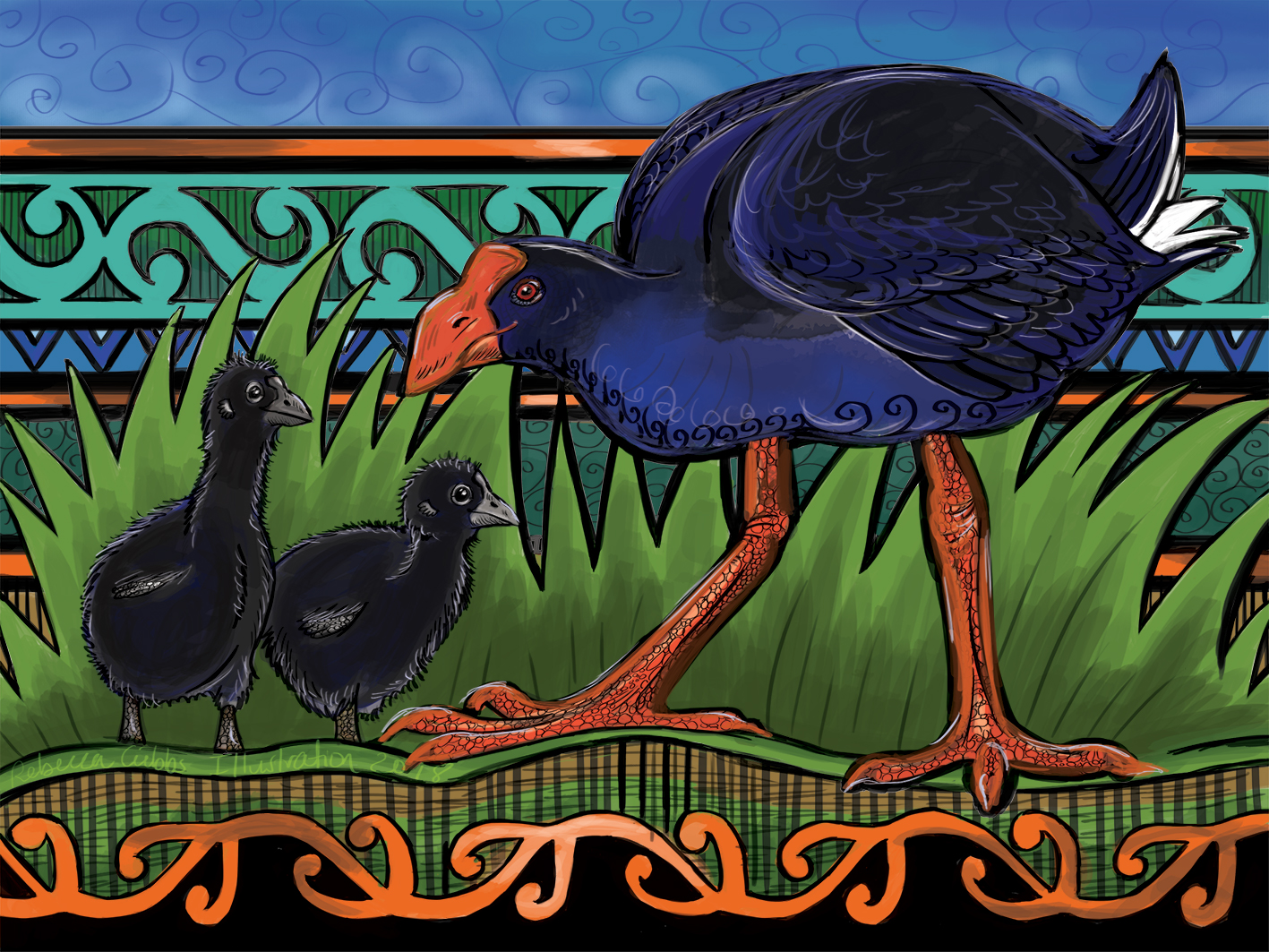 PUKEKO colour.jpg