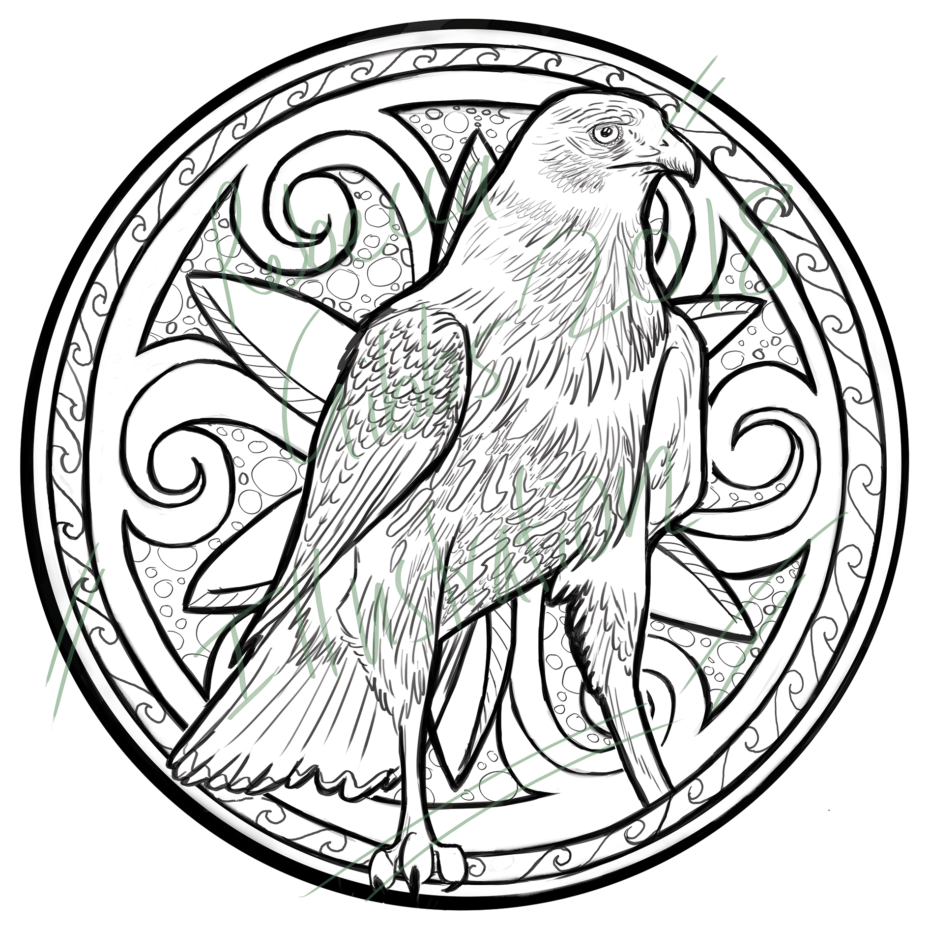 Block Poster: KAHU (Harrier Hawk)