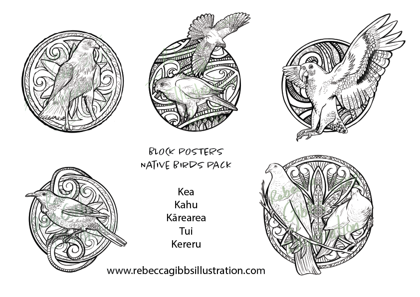 Block Poster Native Bird Bundle B (x5 posters)