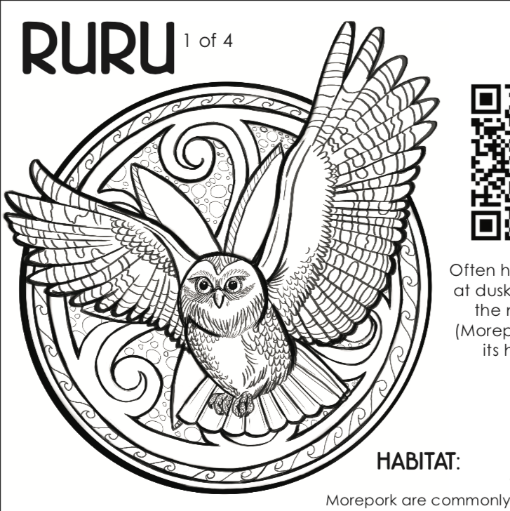 Ruru Morepork Worksheet Pack 