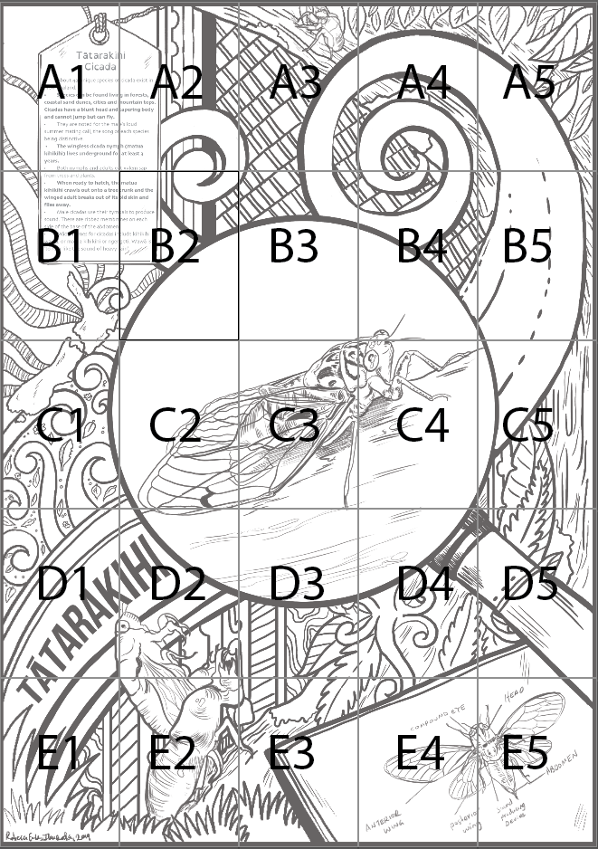 Insect Block Poster: Tātarakihi (Cicada) 