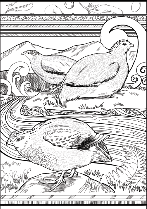 Block Poster: Koreke (NZ Quail)