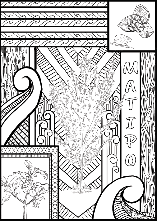 Block Poster: Matipo Tree 