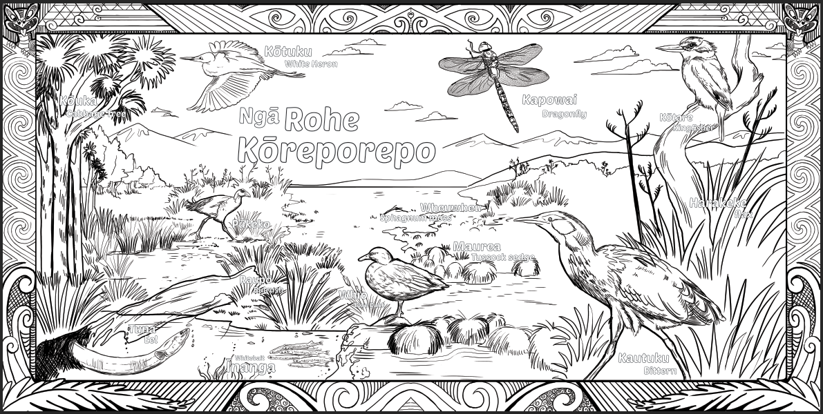 Block Poster: Ngā rohe Kōreporepo (Wetlands)